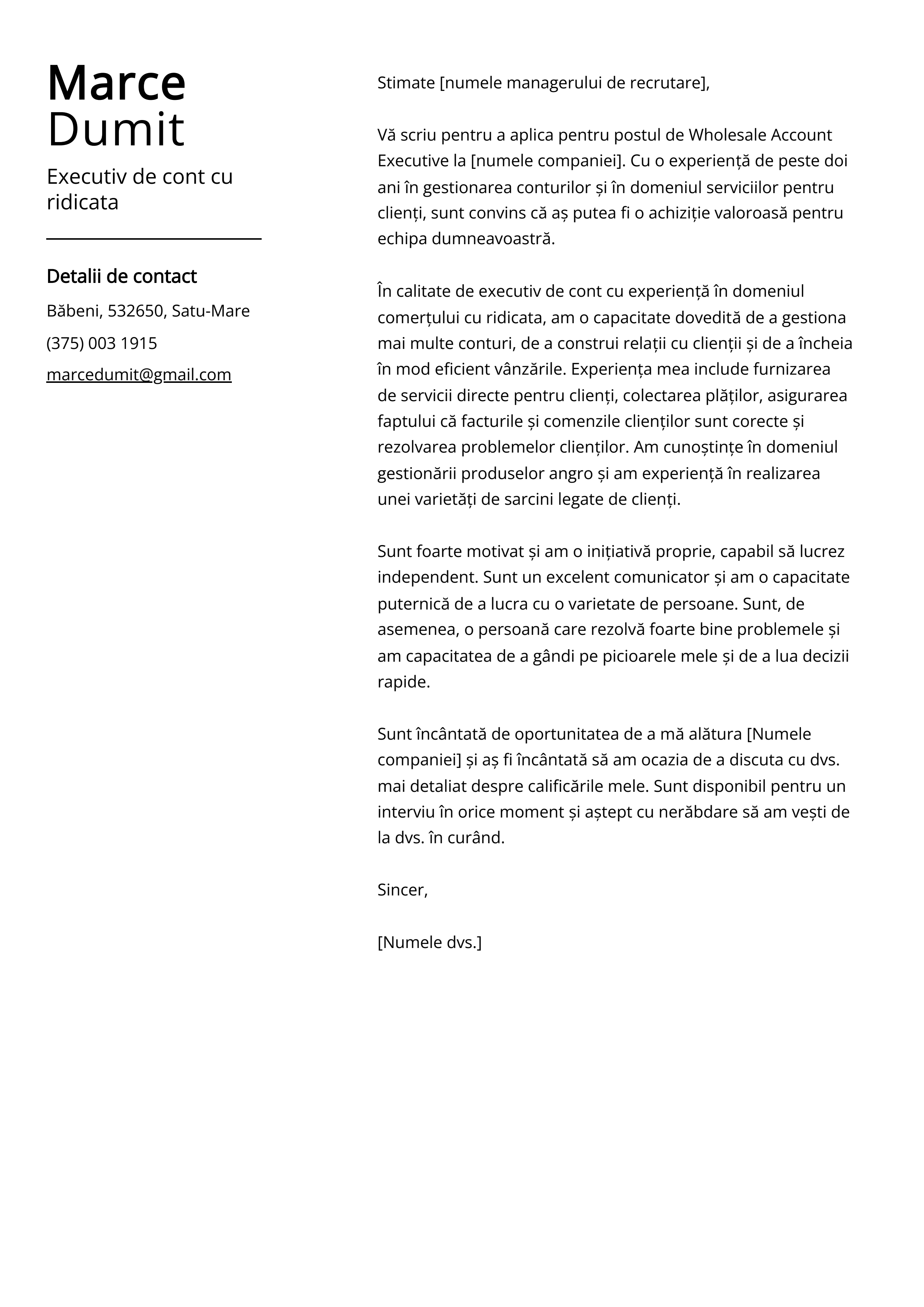 Executiv de cont cu ridicata Cover Letter Example