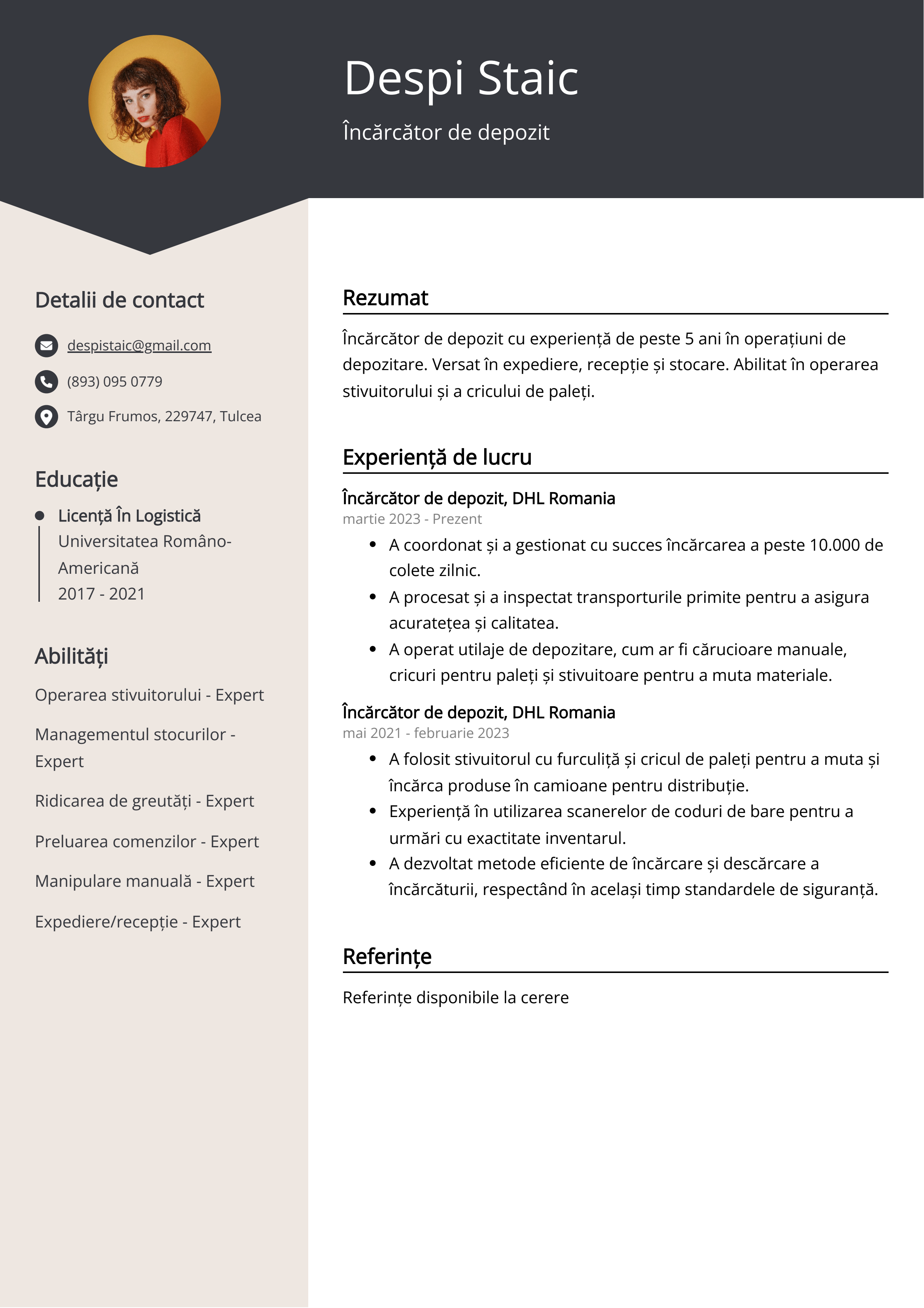 Încărcător de depozit Exemplu de CV