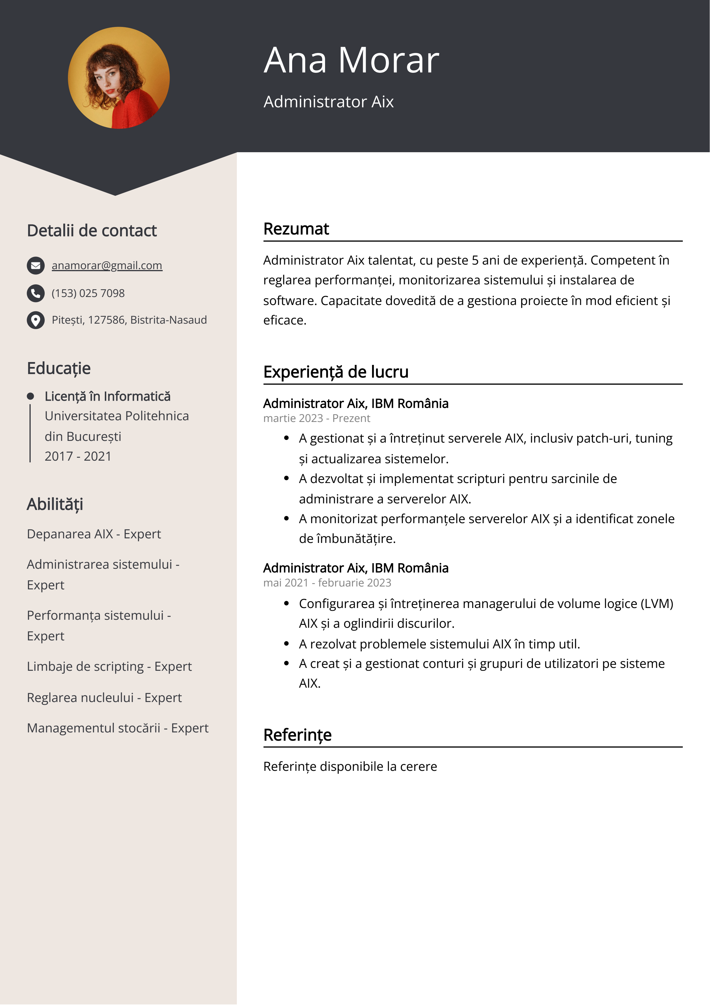 Administrator Aix Exemplu de CV