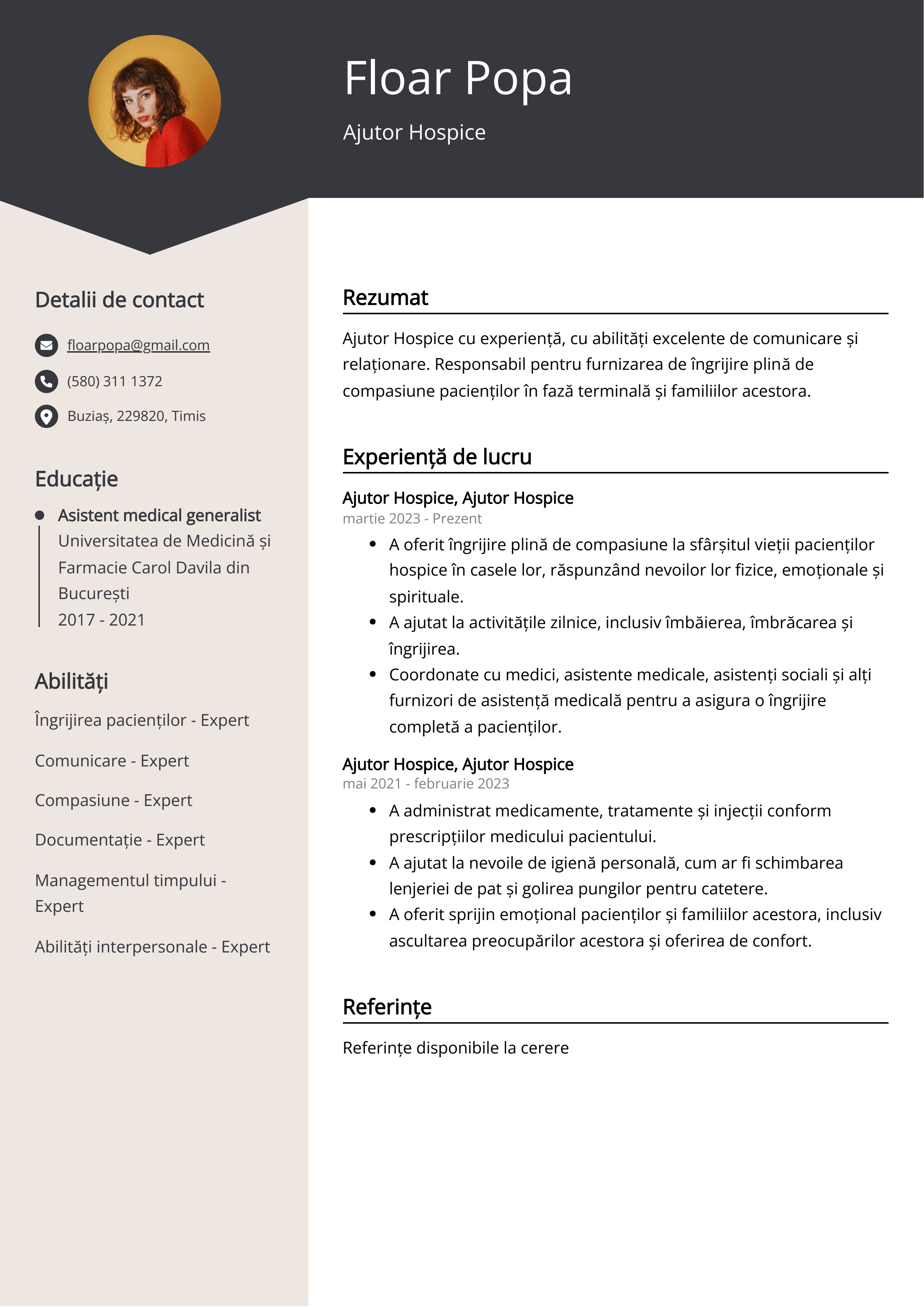 Ajutor Hospice Resume Example