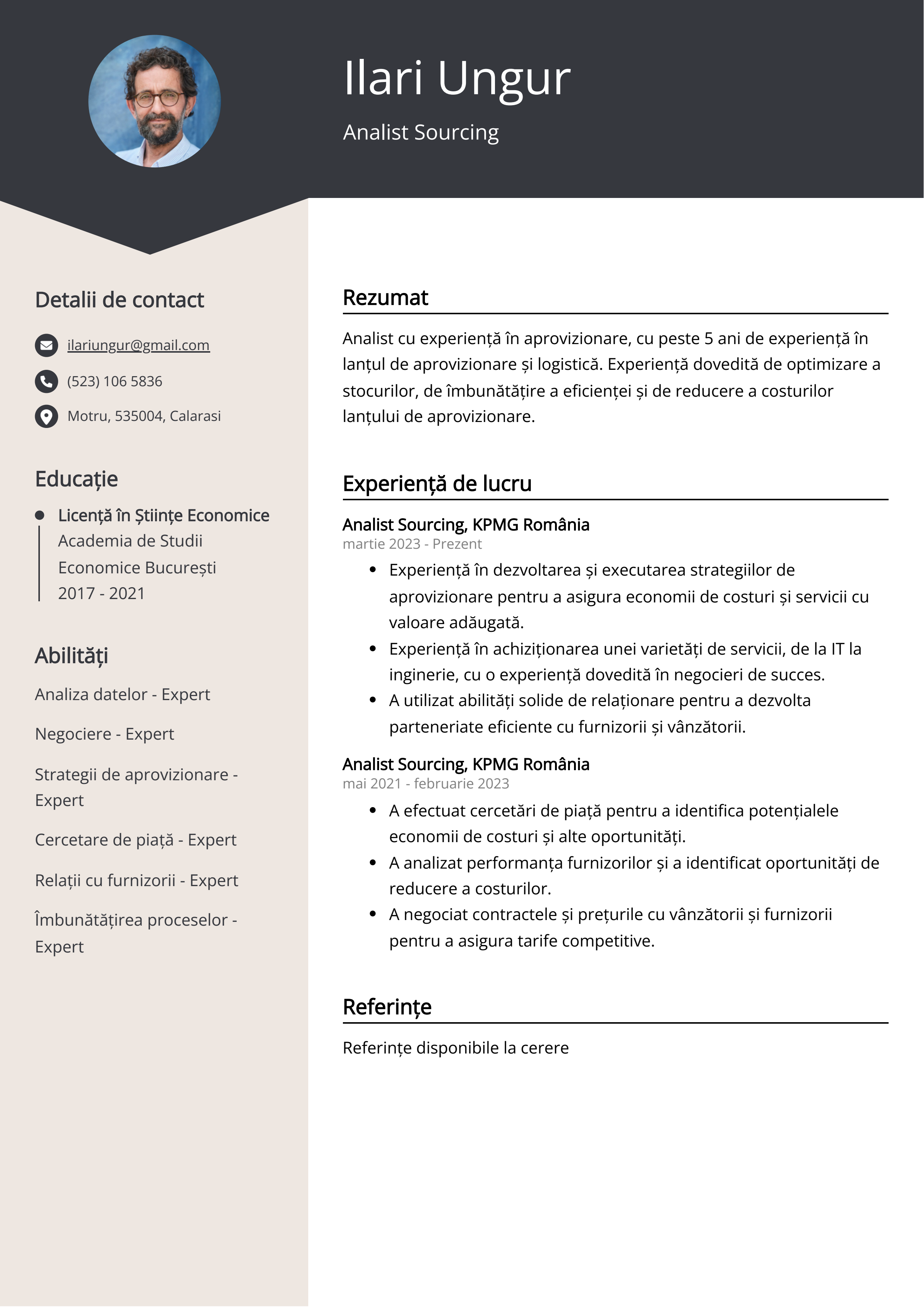 Analist Sourcing Resume Exemplu de CV