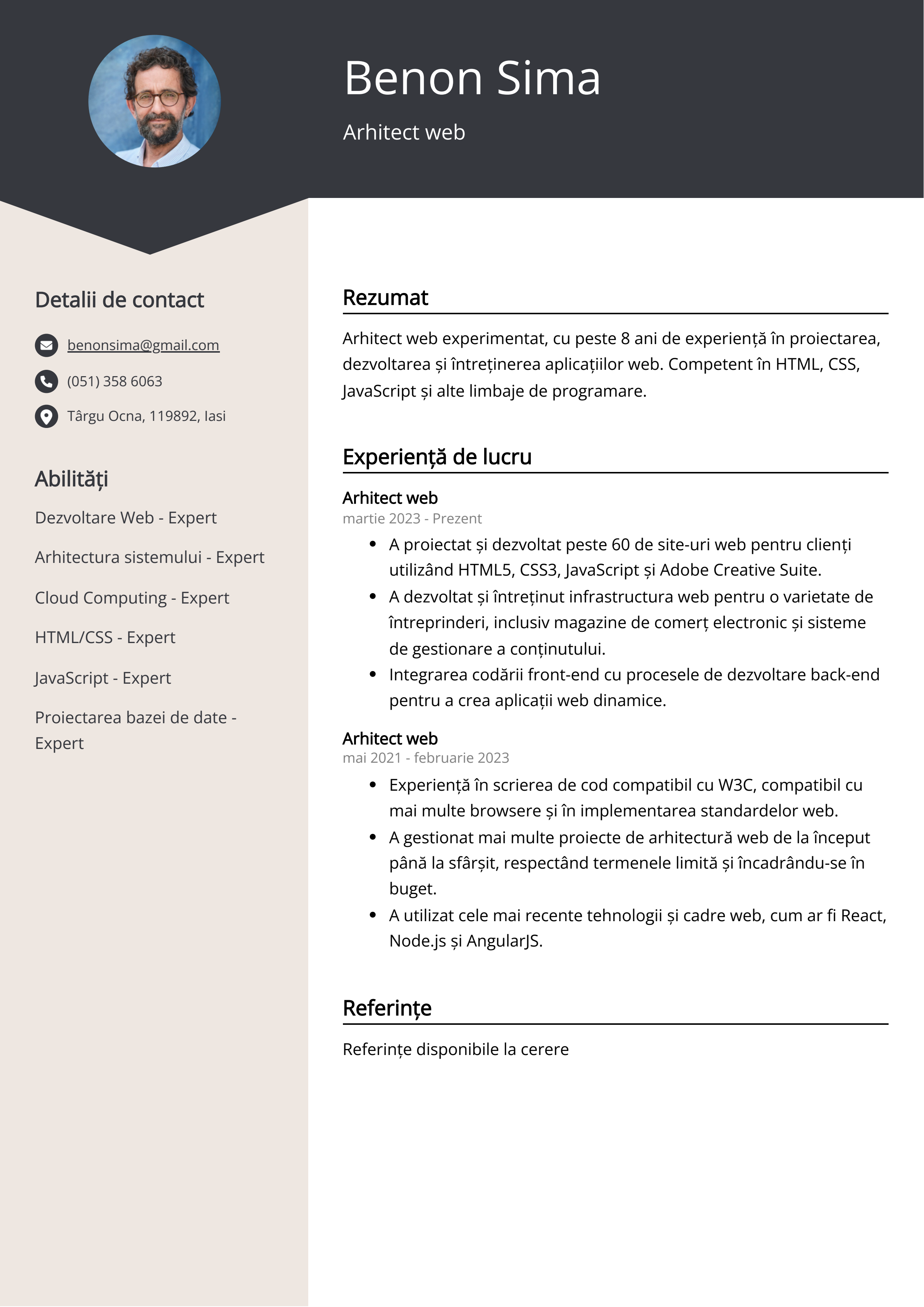 Arhitect web Exemplu de CV