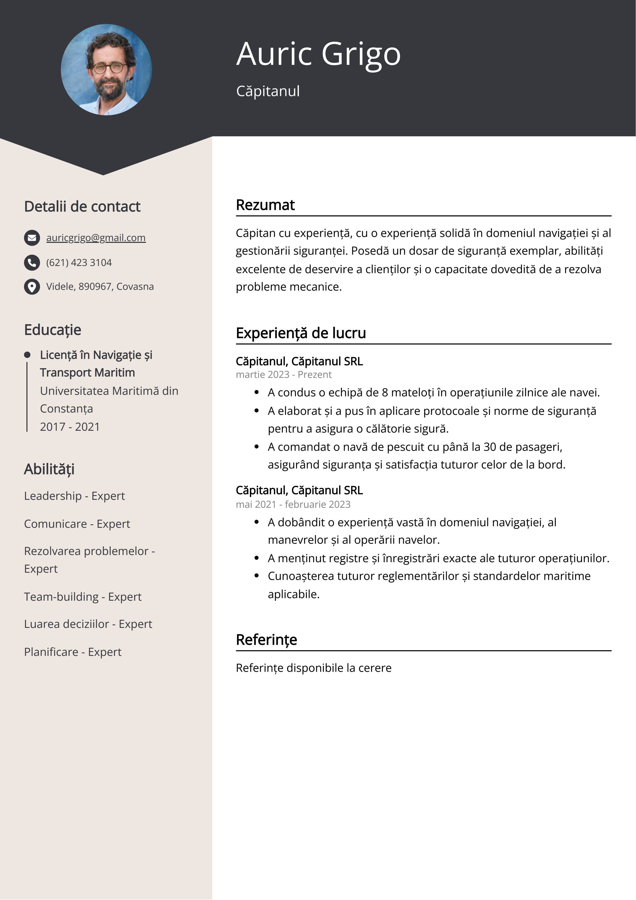 Căpitanul Resume Example