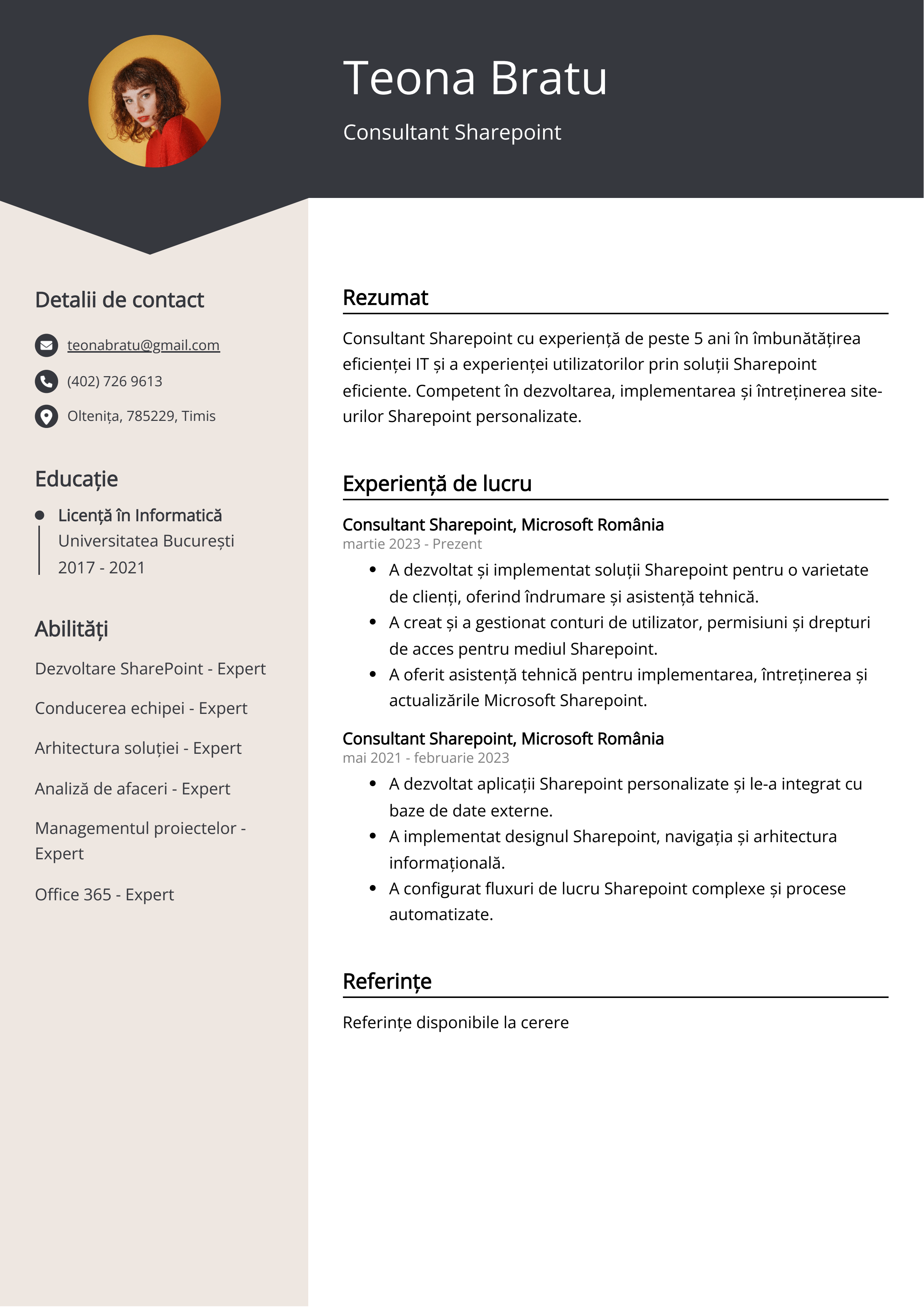 Consultant Sharepoint Exemplu de CV