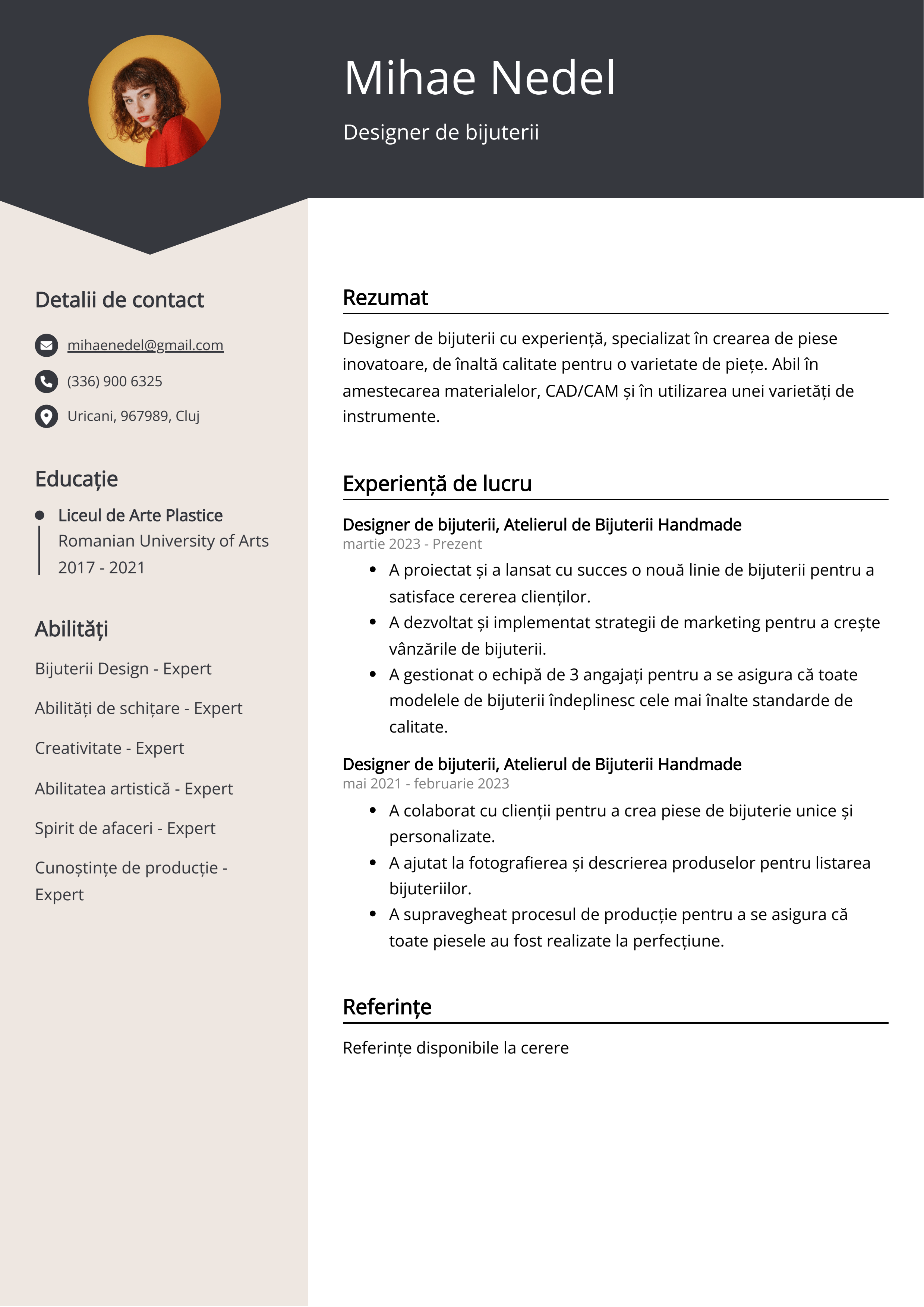 Designer de bijuterii Exemplu de CV