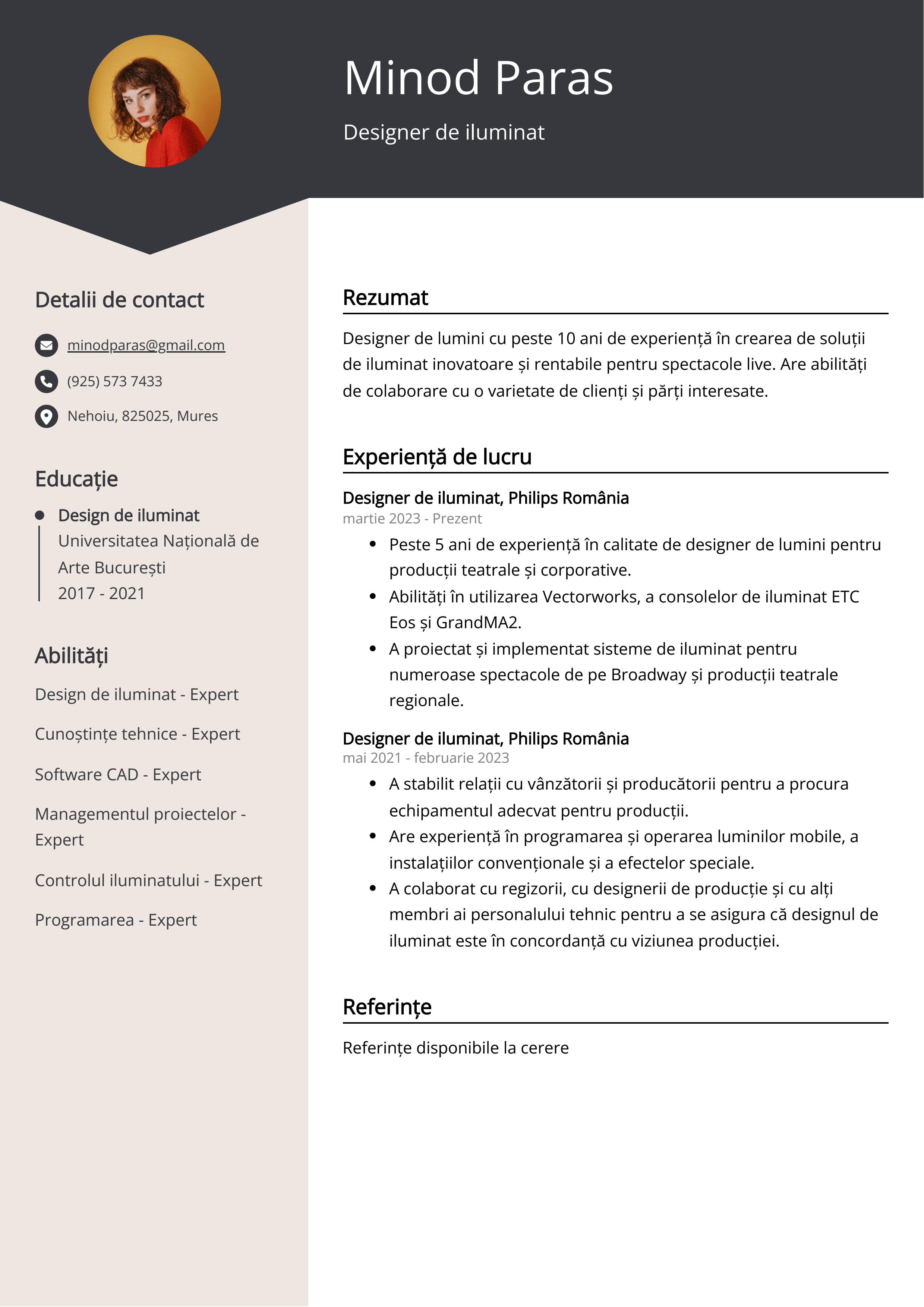 Designer de iluminat Exemplu de CV