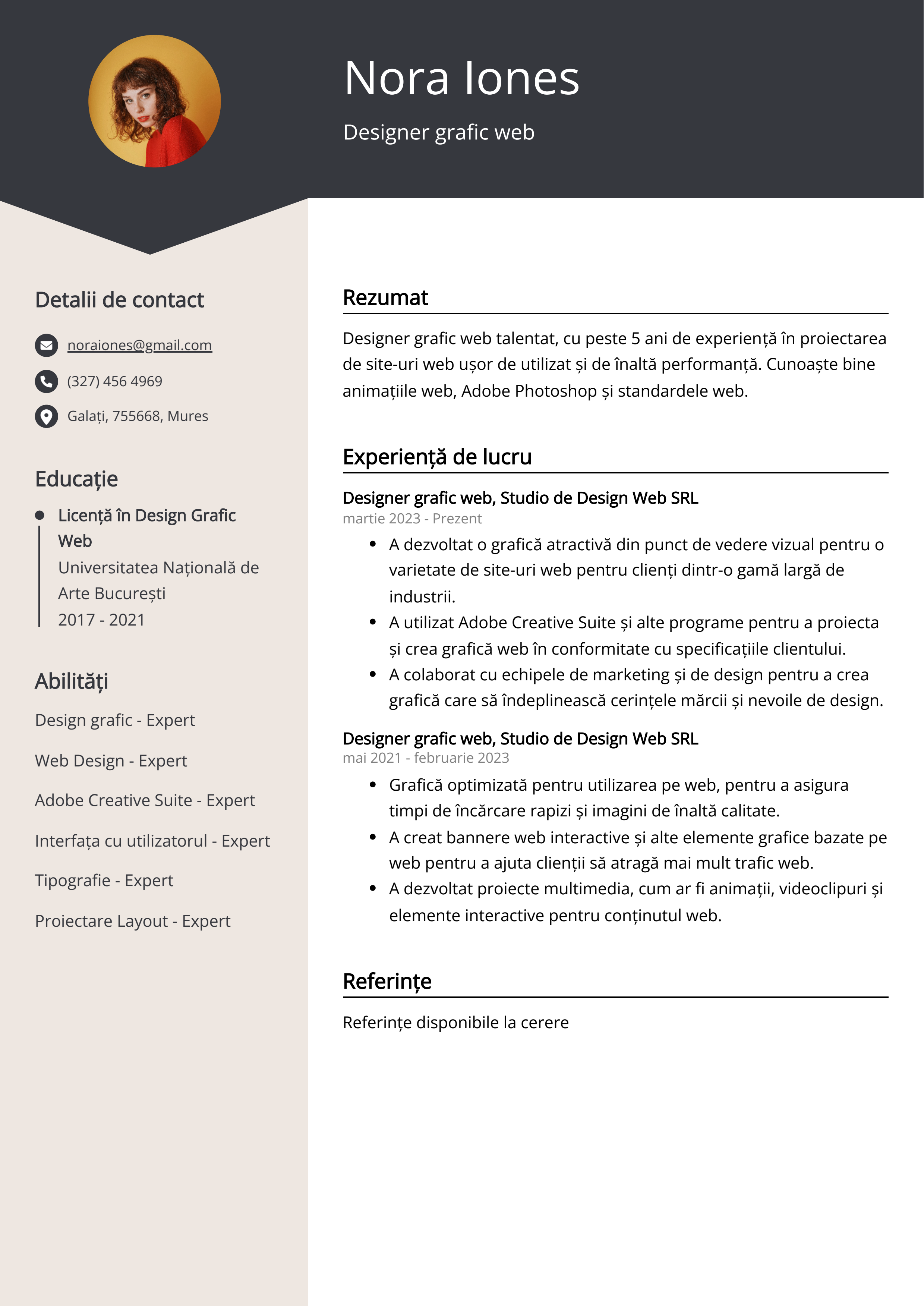 Designer grafic web Exemplu de CV