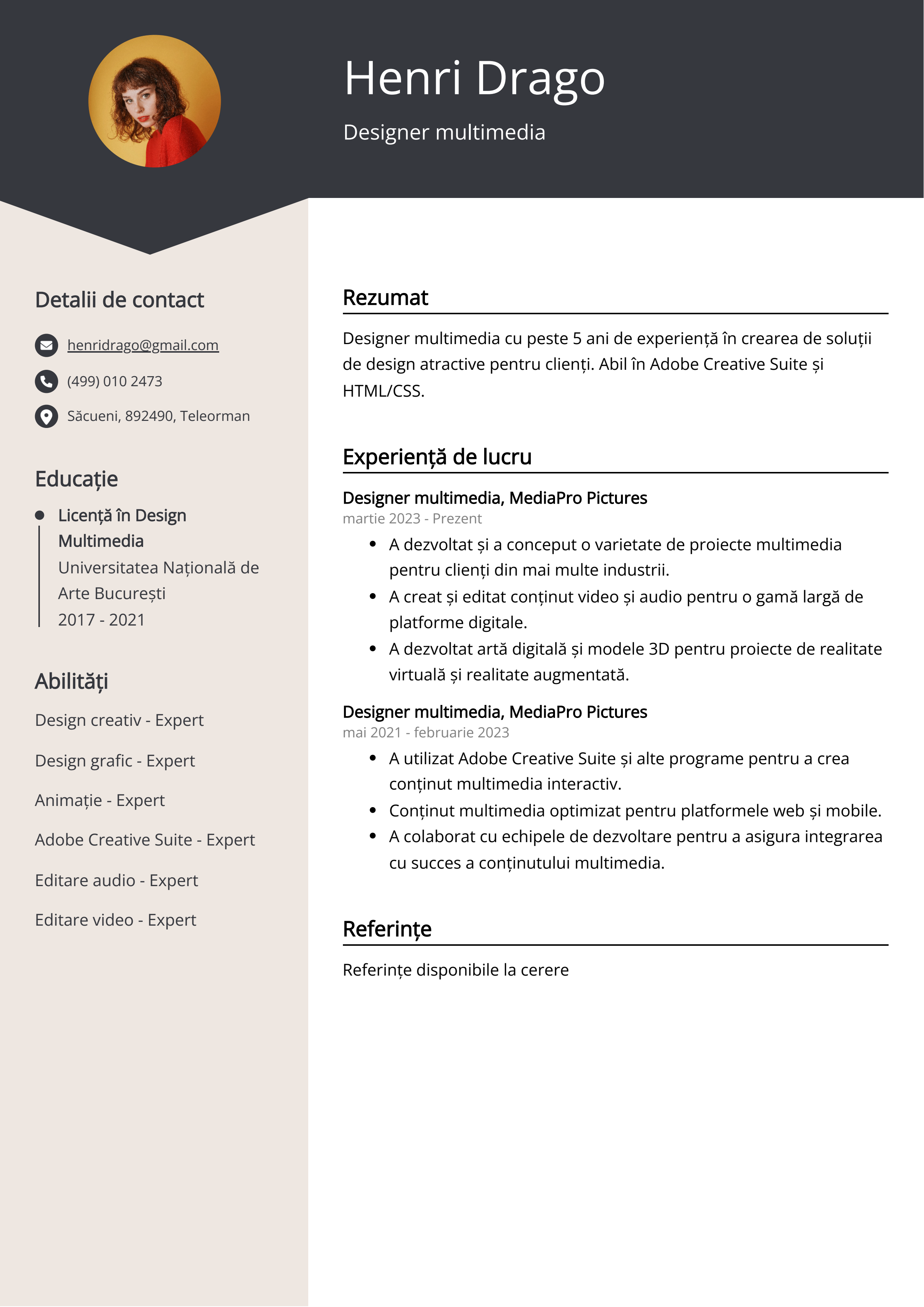 Designer multimedia Exemplu de CV