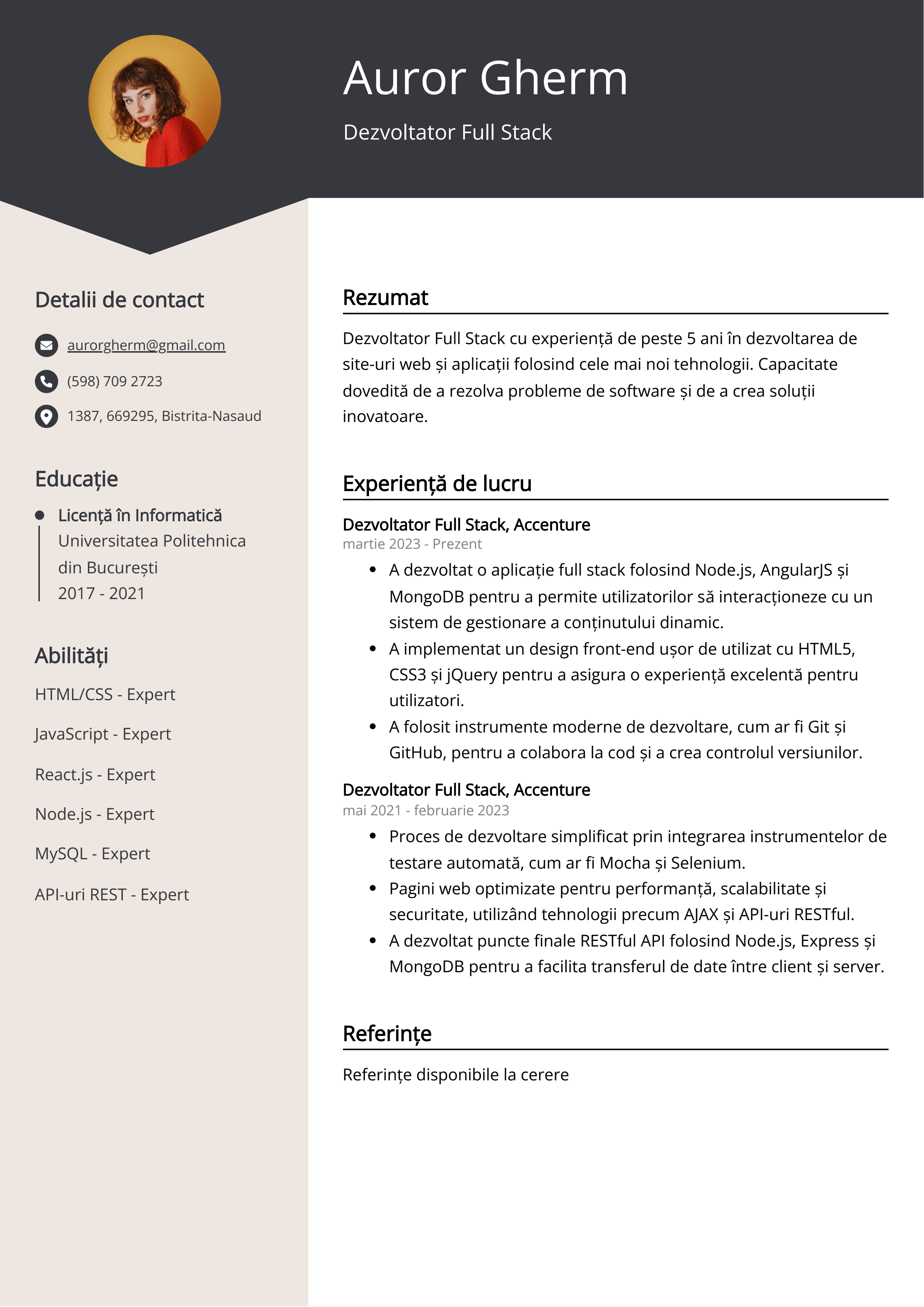 Dezvoltator Full Stack Resume Exemplu de CV