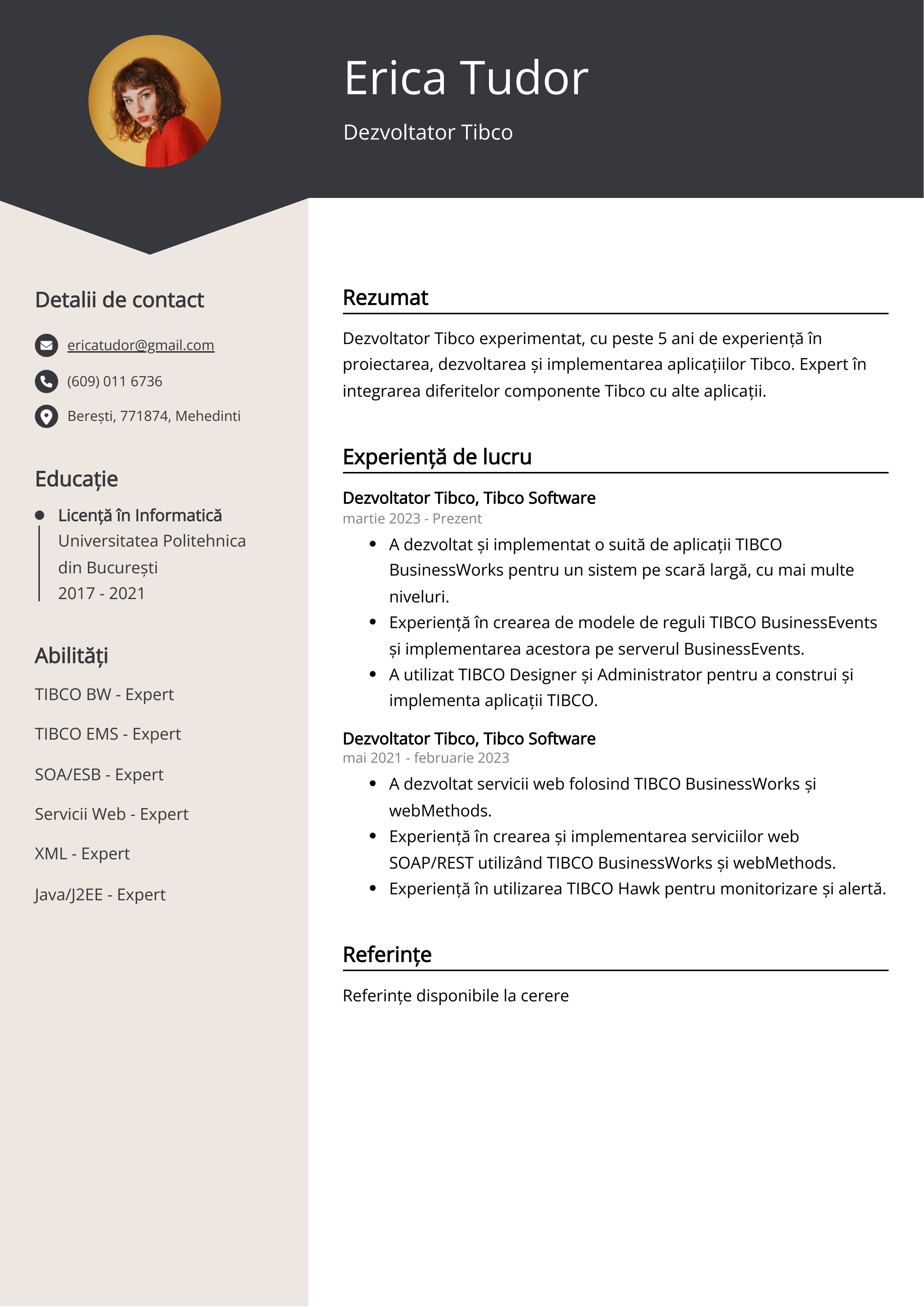 Dezvoltator Tibco Exemplu de Curriculum Vitae