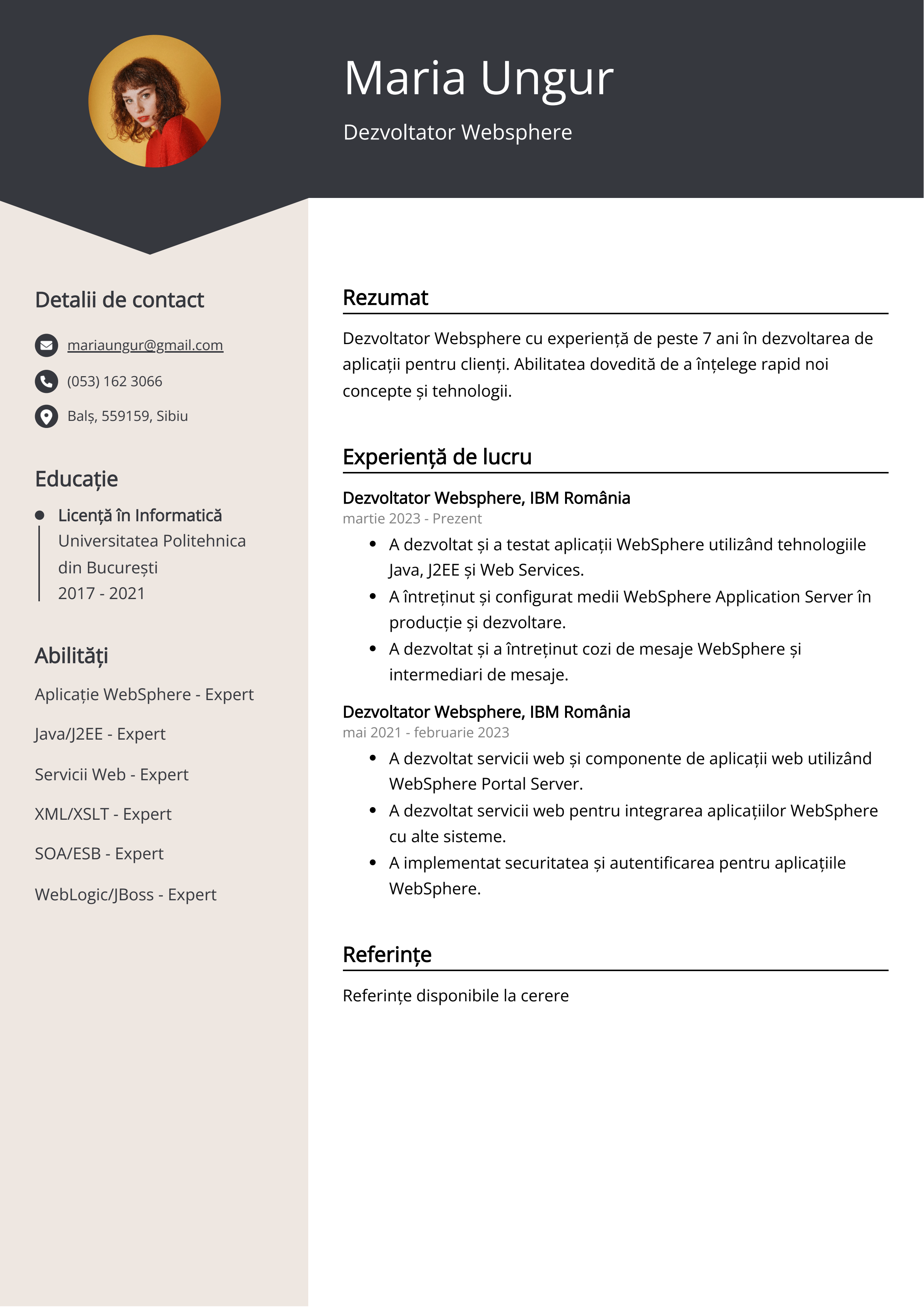 Dezvoltator Websphere Resume Exemplu de CV