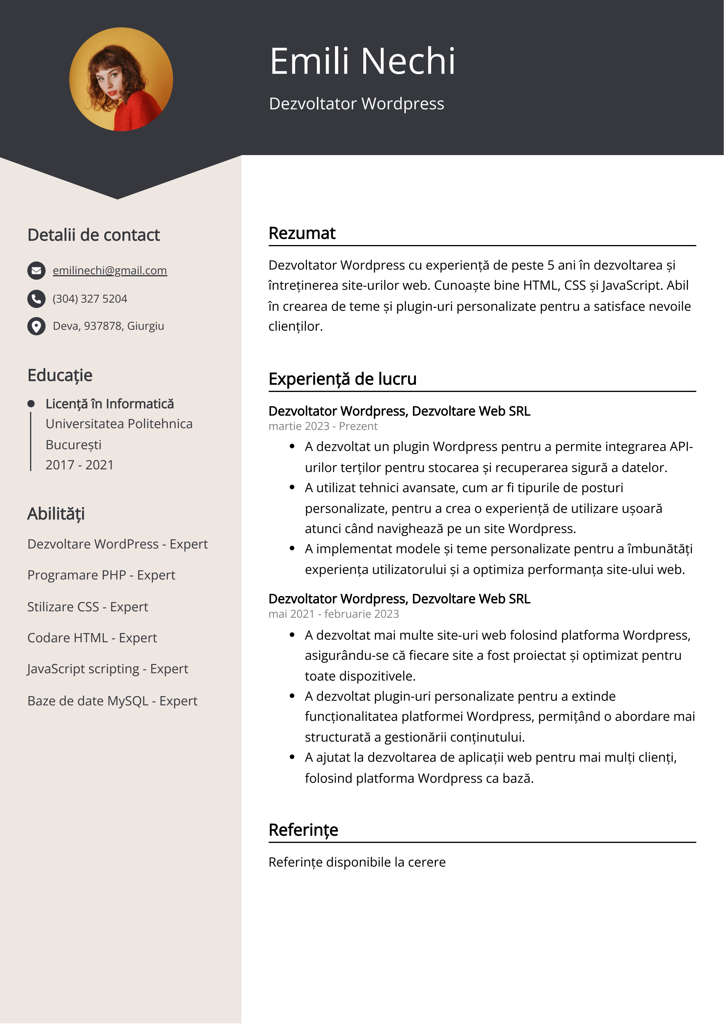 Dezvoltator Wordpress Exemplu de CV
