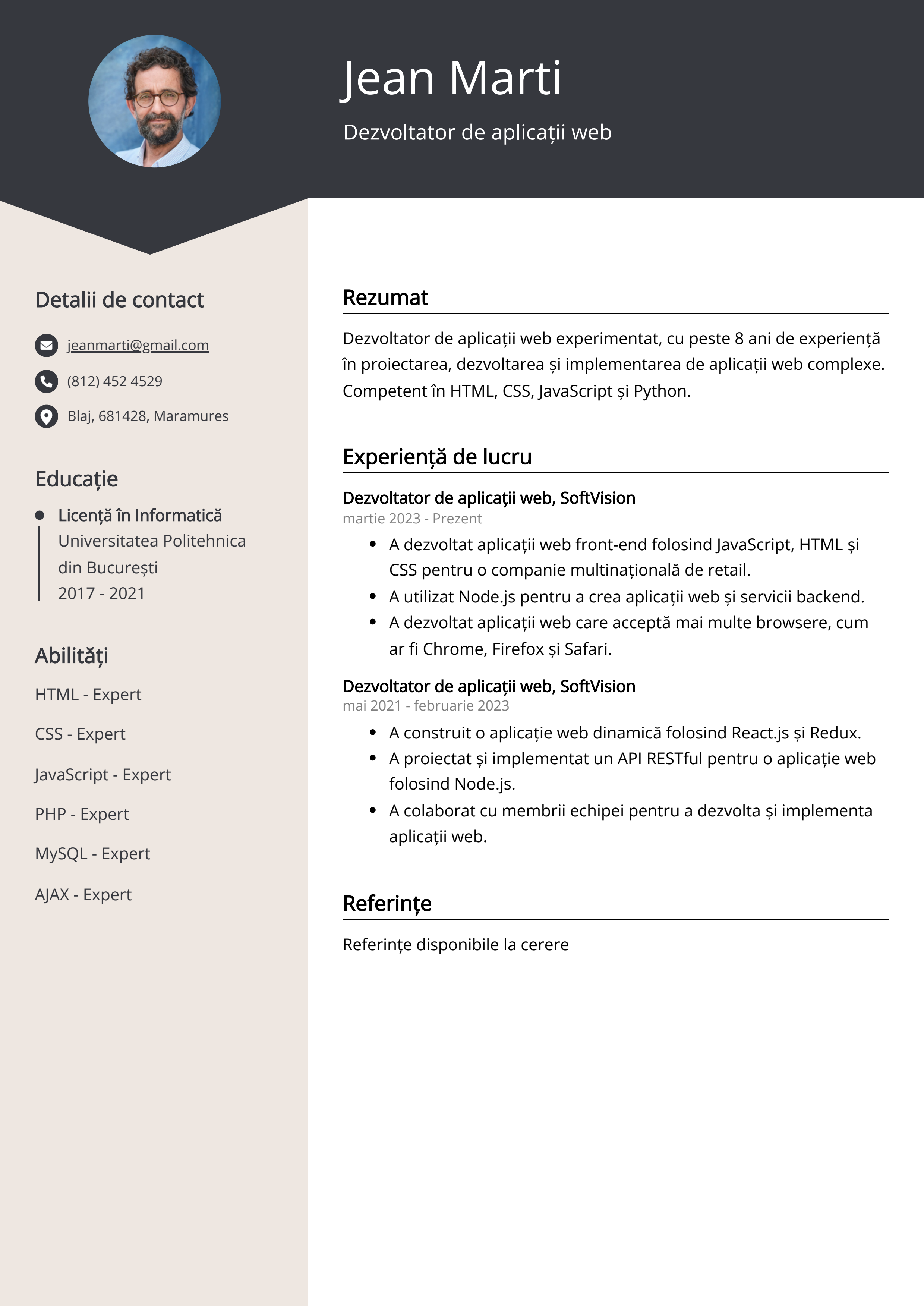 Dezvoltator de aplicații web Exemplu de CV