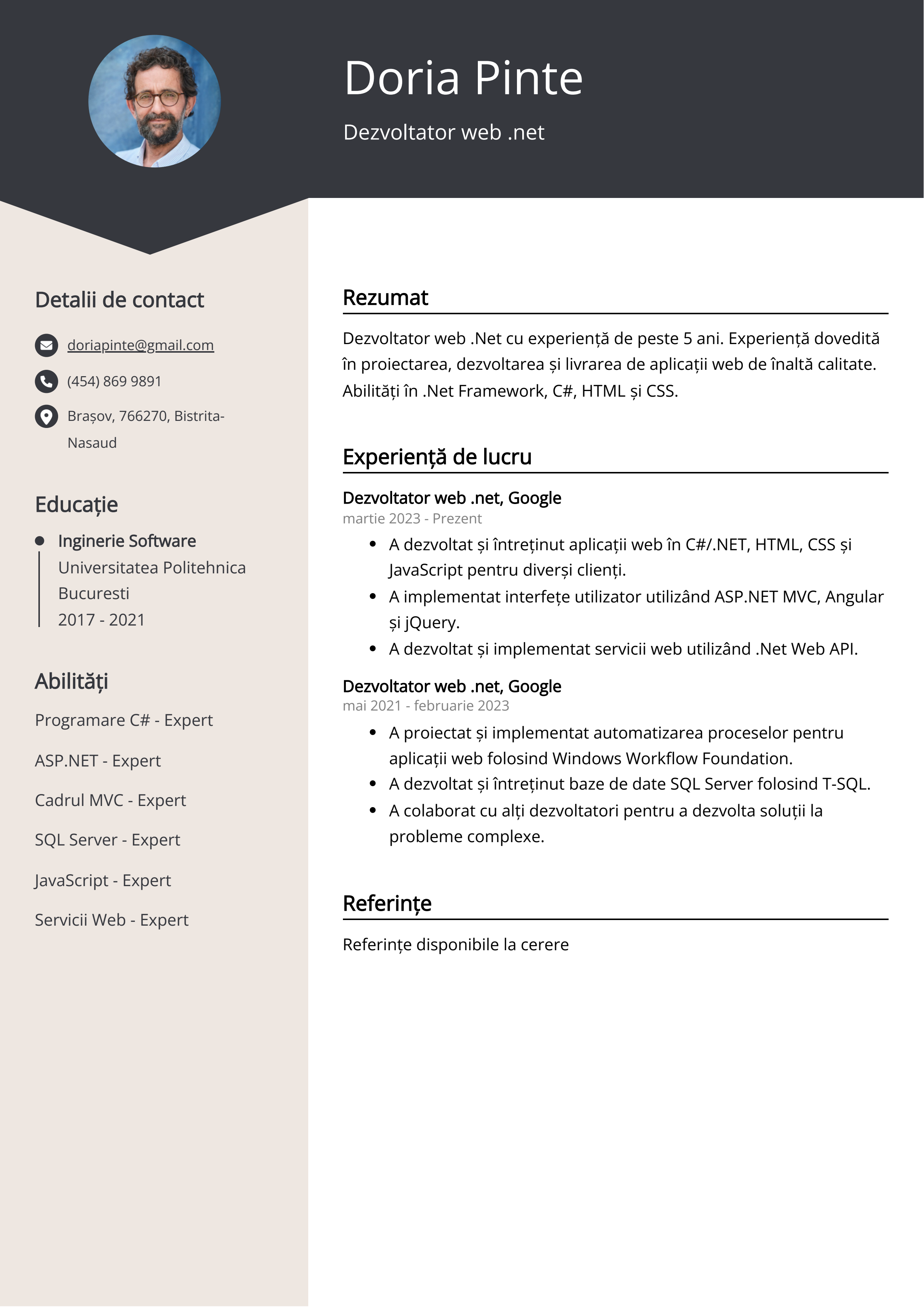 Dezvoltator web .net Exemplu de CV