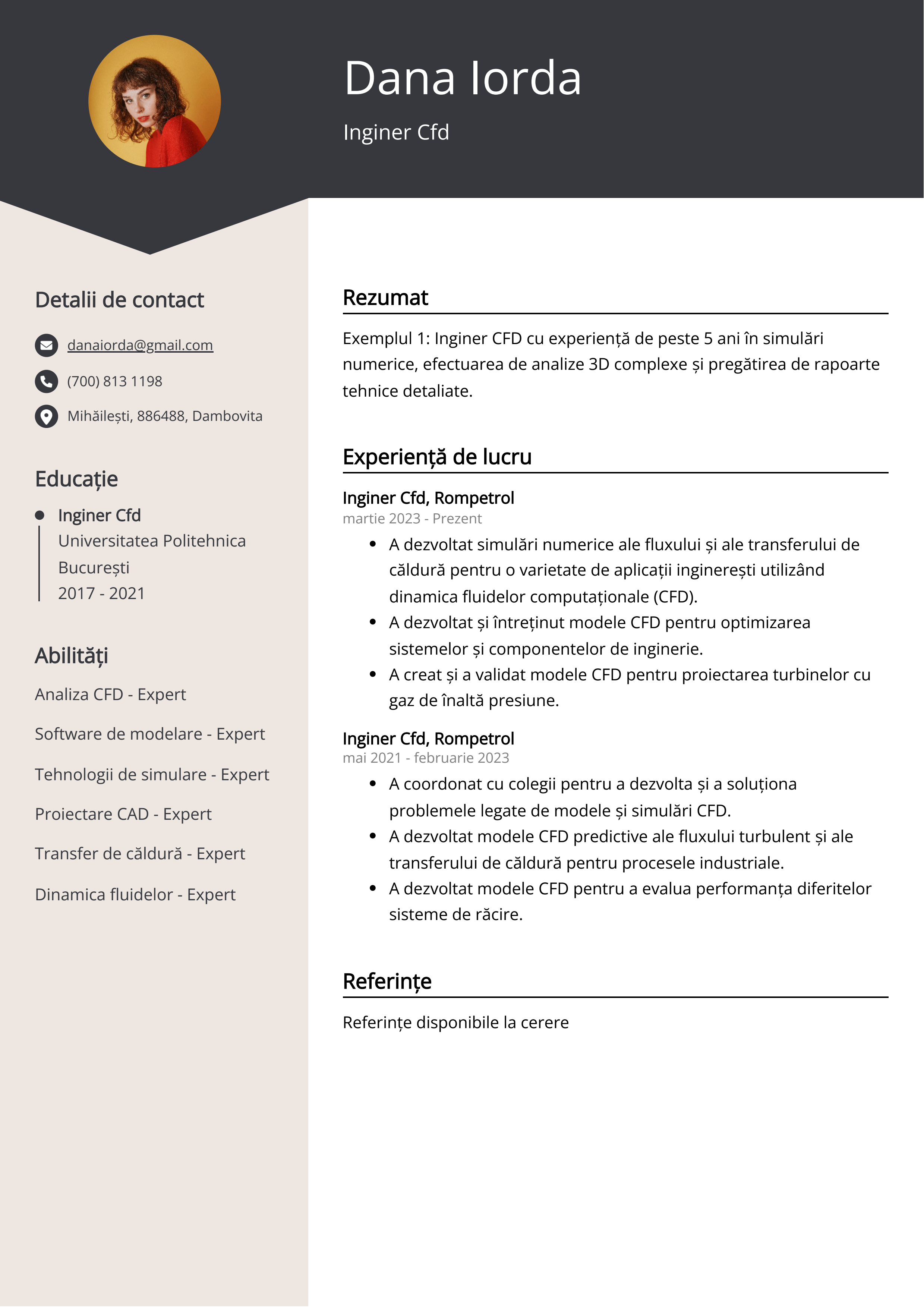 Exemplu de CV Inginer Cfd