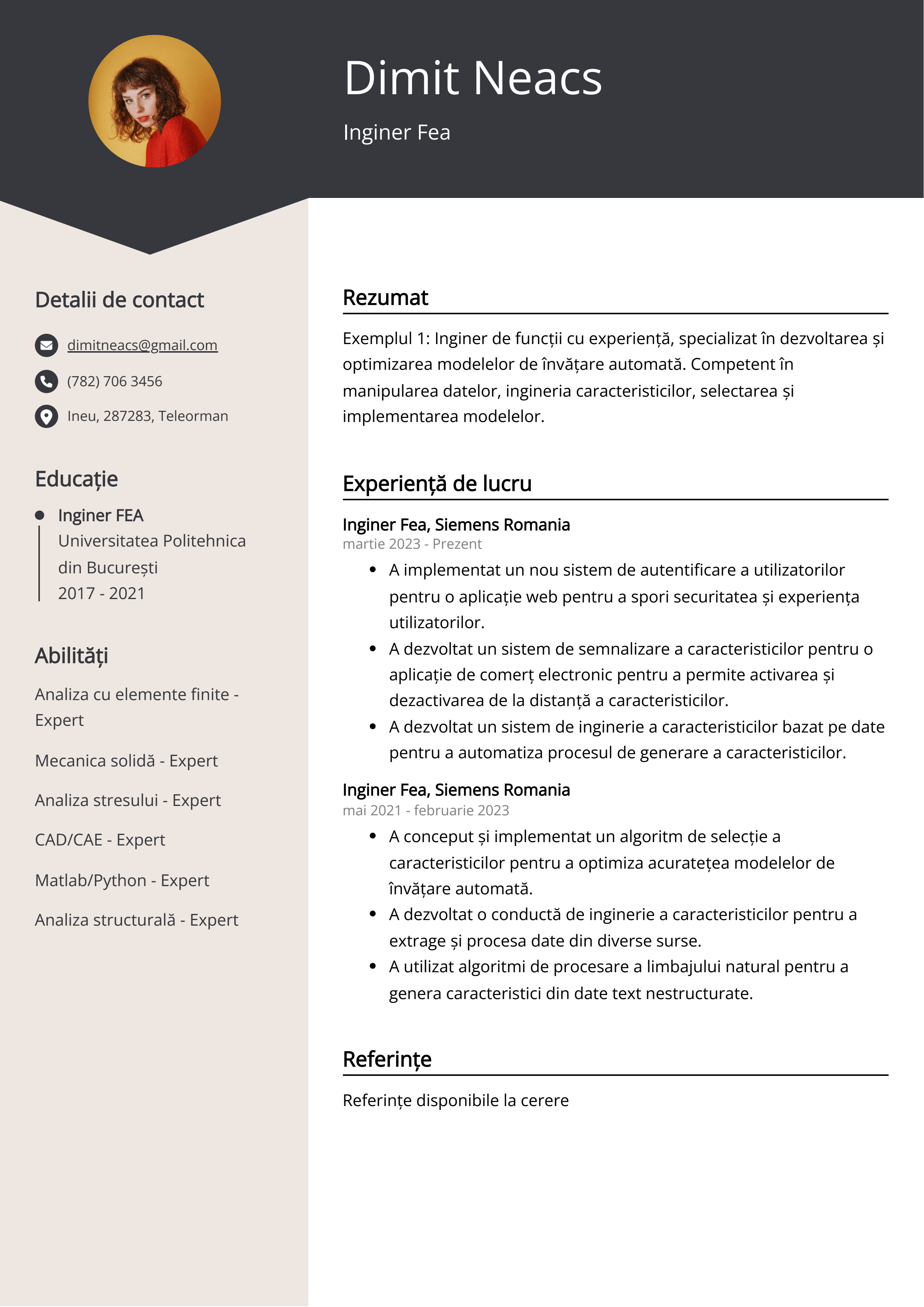 Inginer Fea Exemplu de Curriculum Vitae