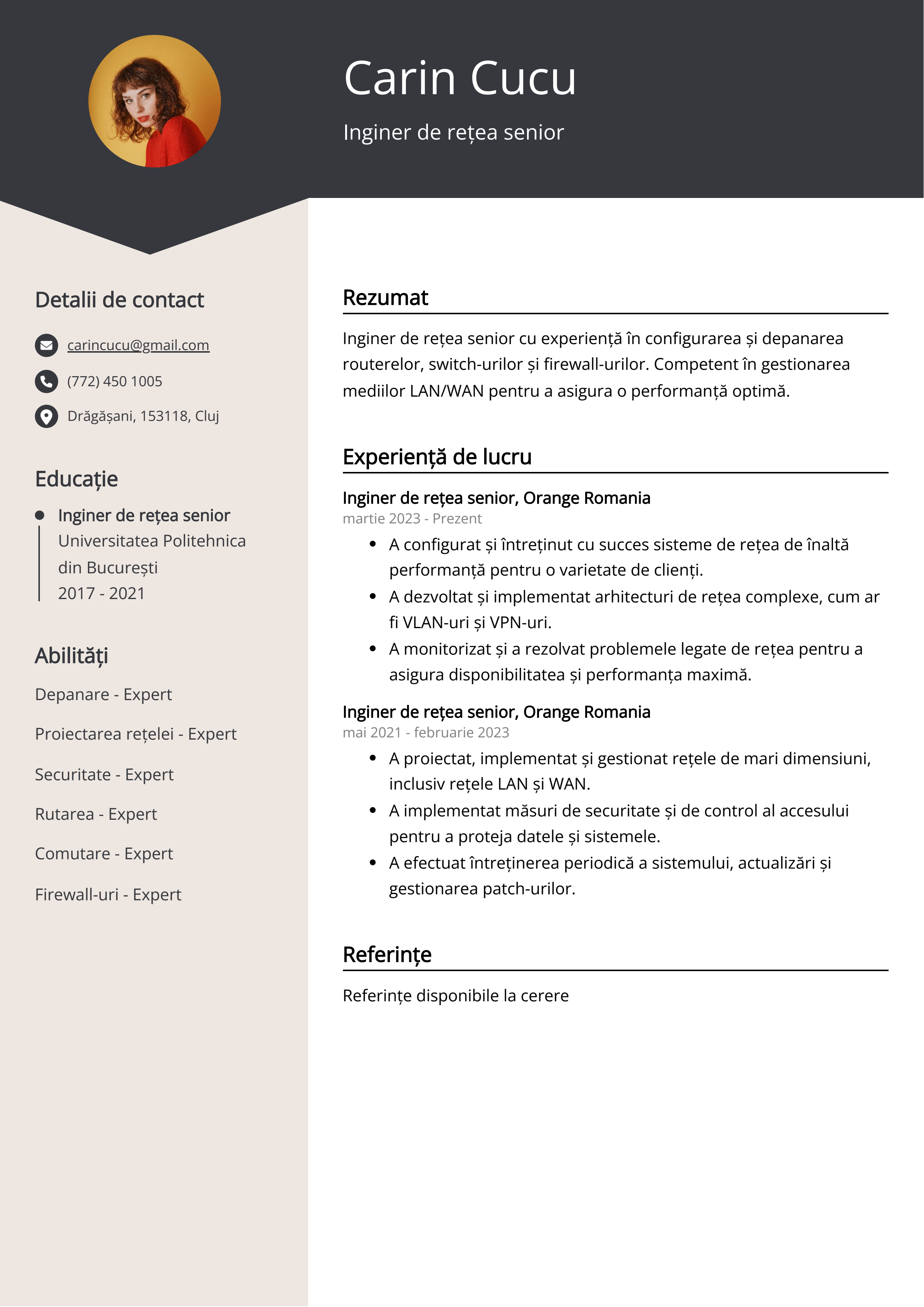 Inginer de rețea senior Resume Example