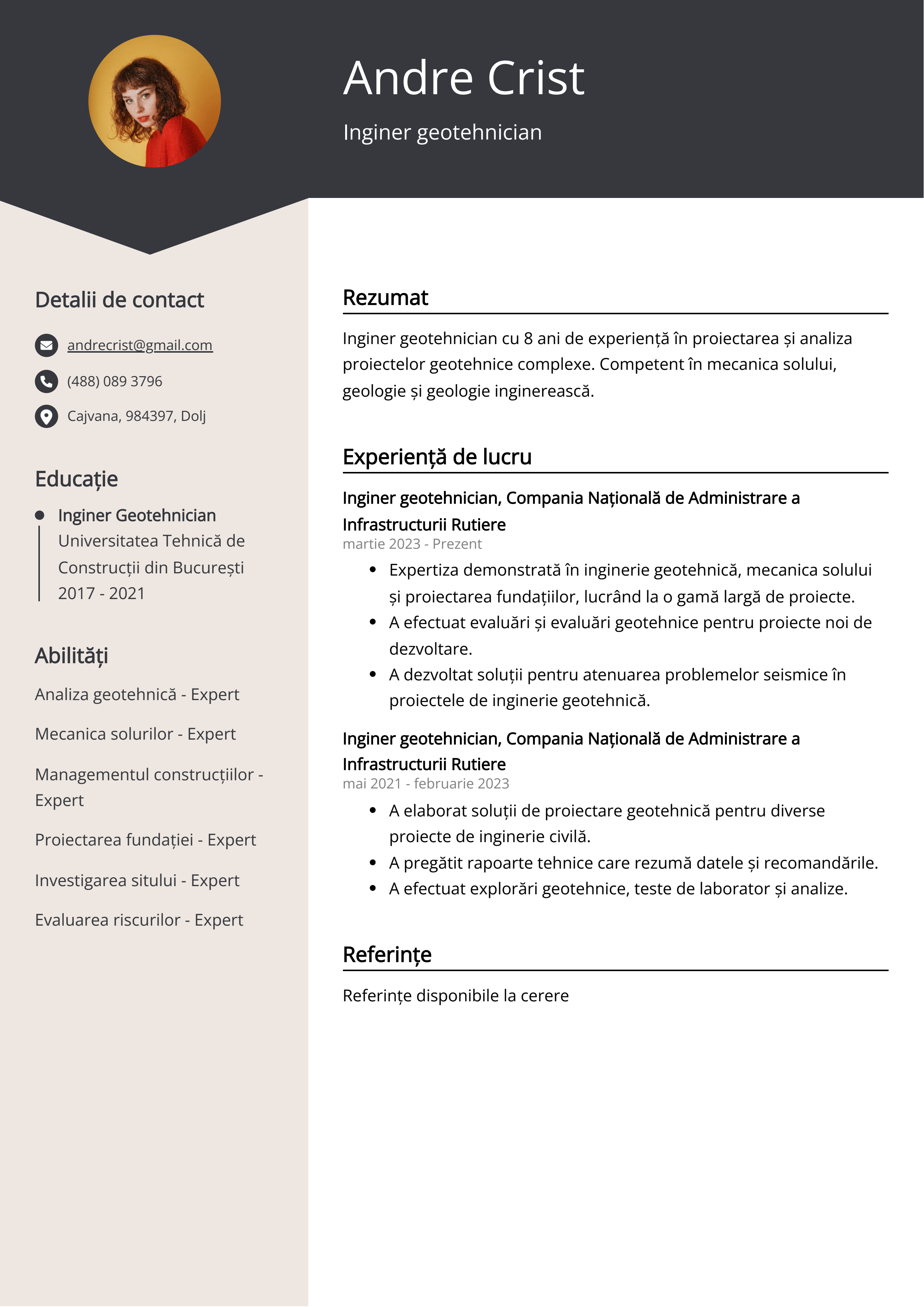 Inginer geotehnician Inginer Exemplu de CV