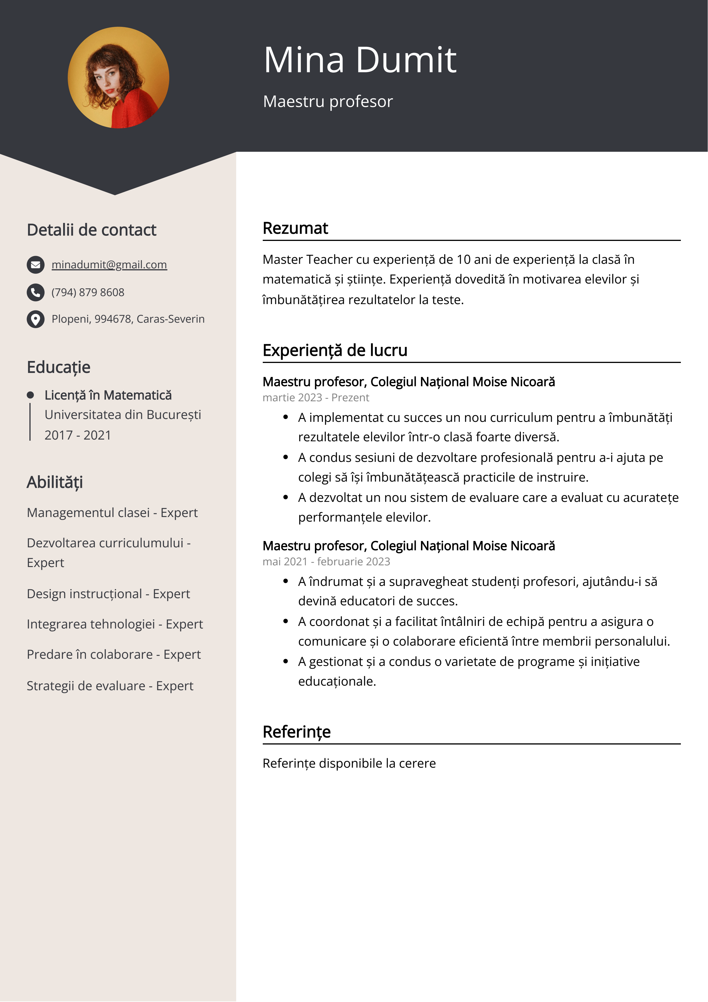 Maestru profesor Resume Example