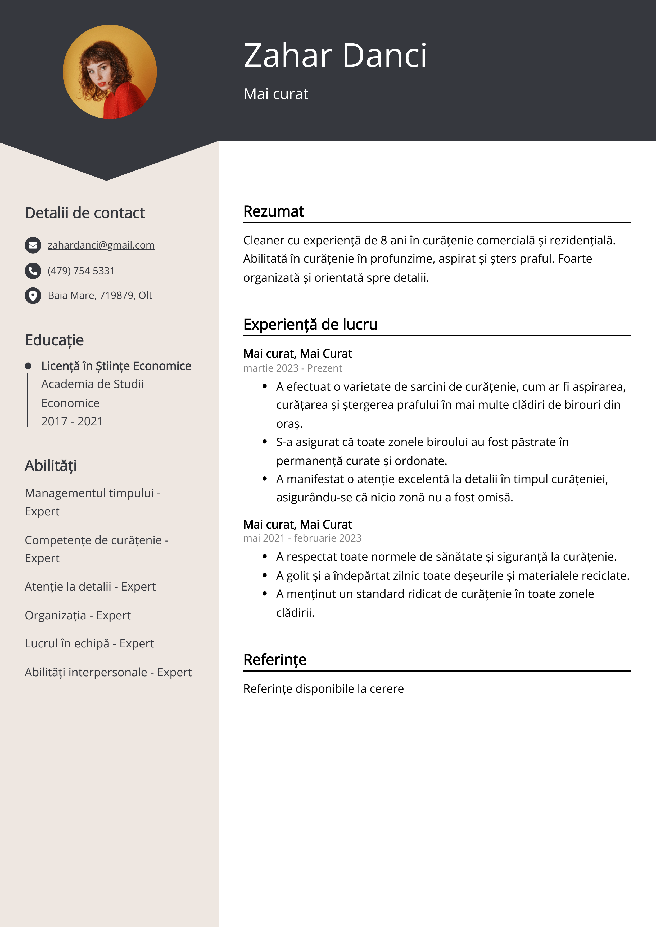 Mai curat Exemplu de Curriculum Vitae