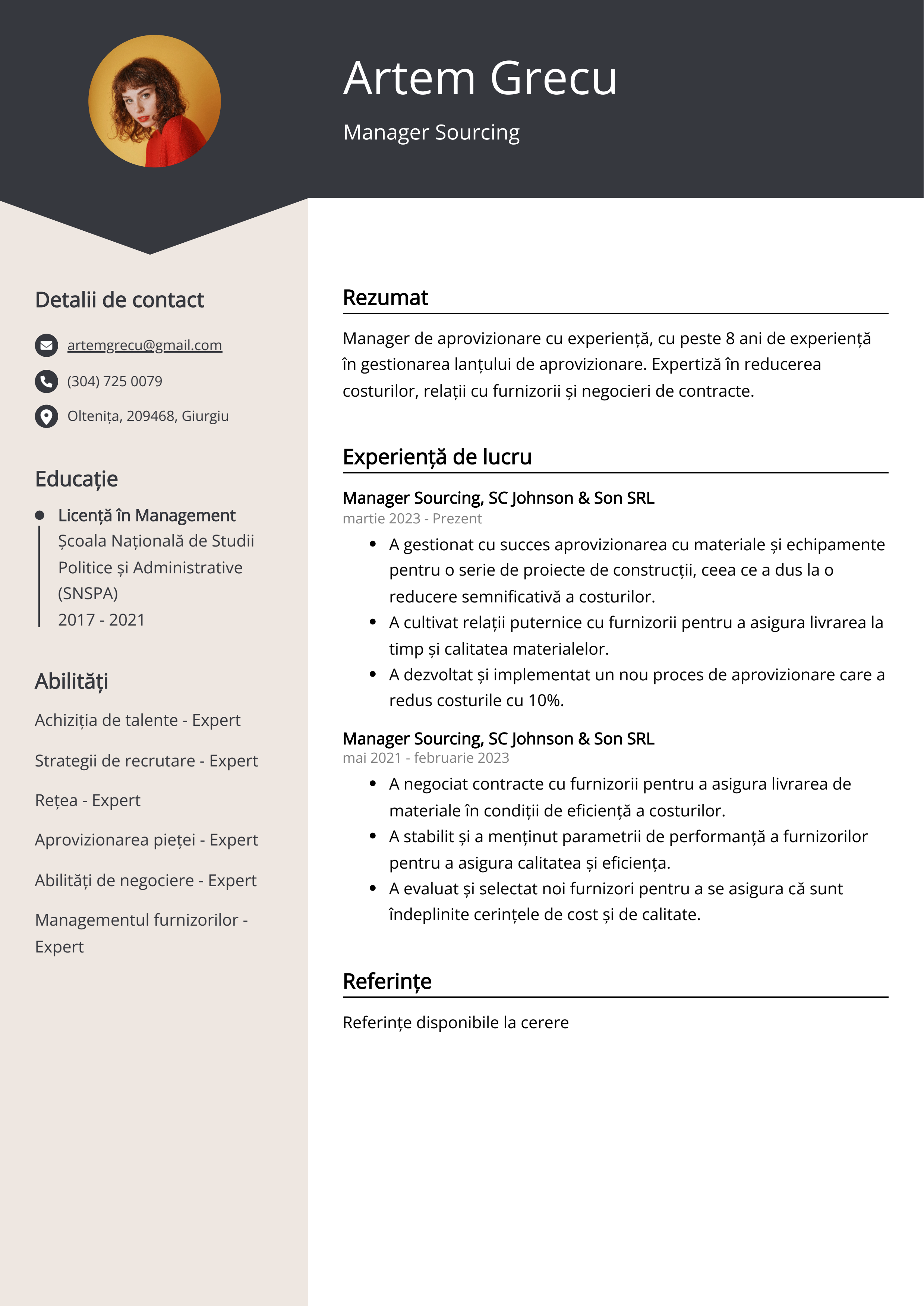 Manager Sourcing Resume Exemplu de CV