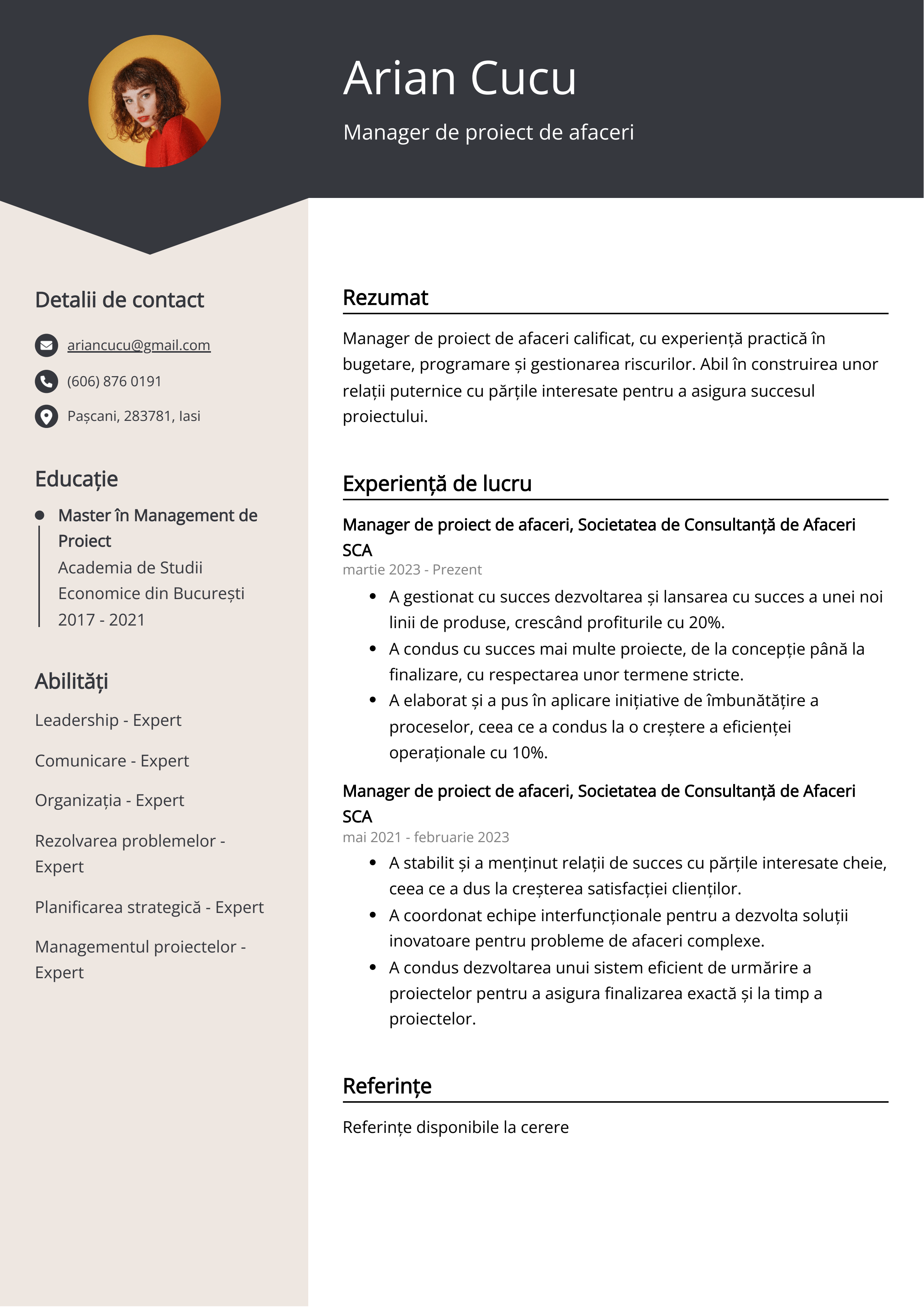 Manager de proiect de afaceri Exemplu de CV