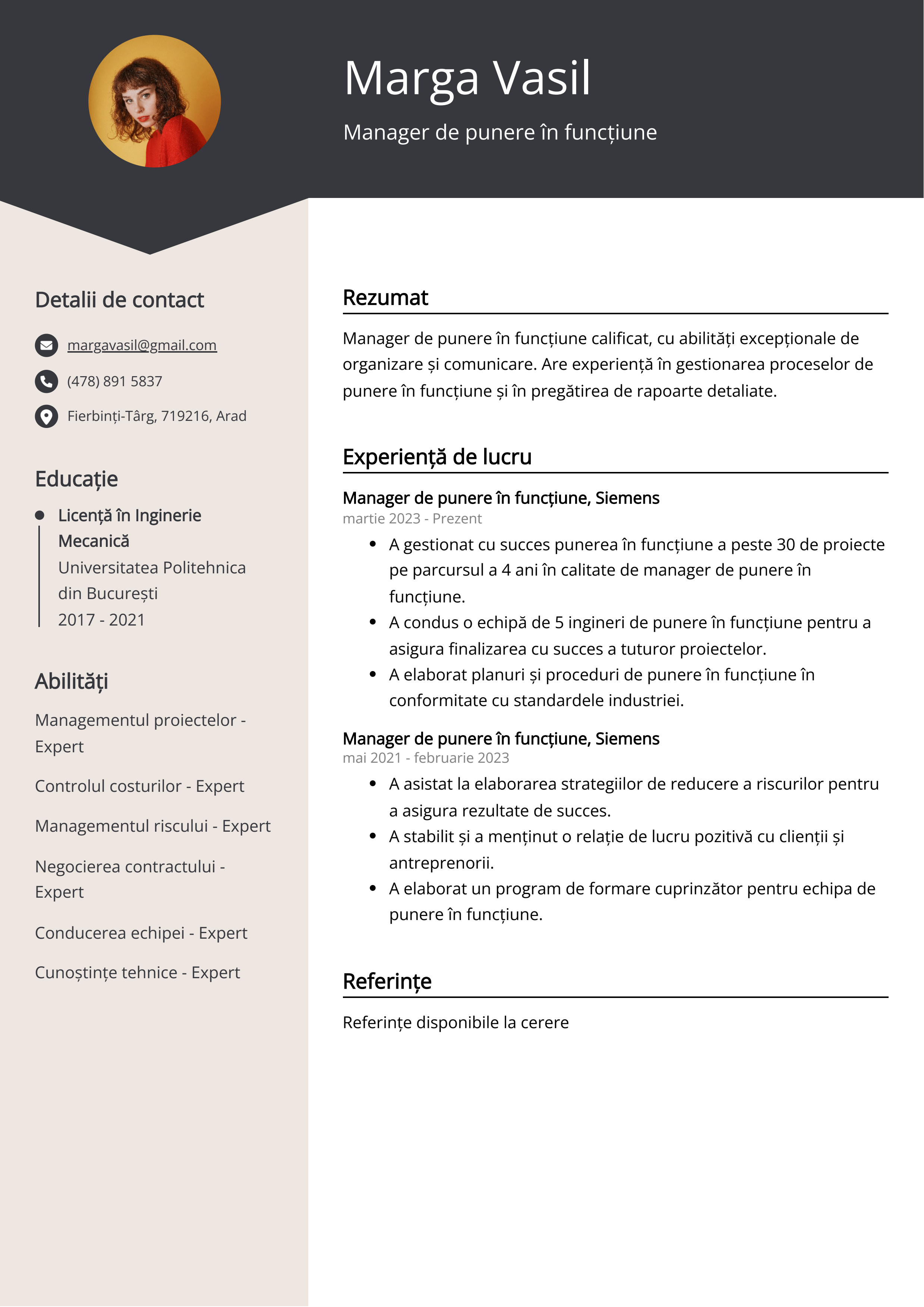 Manager de punere în funcțiune Exemplu de CV