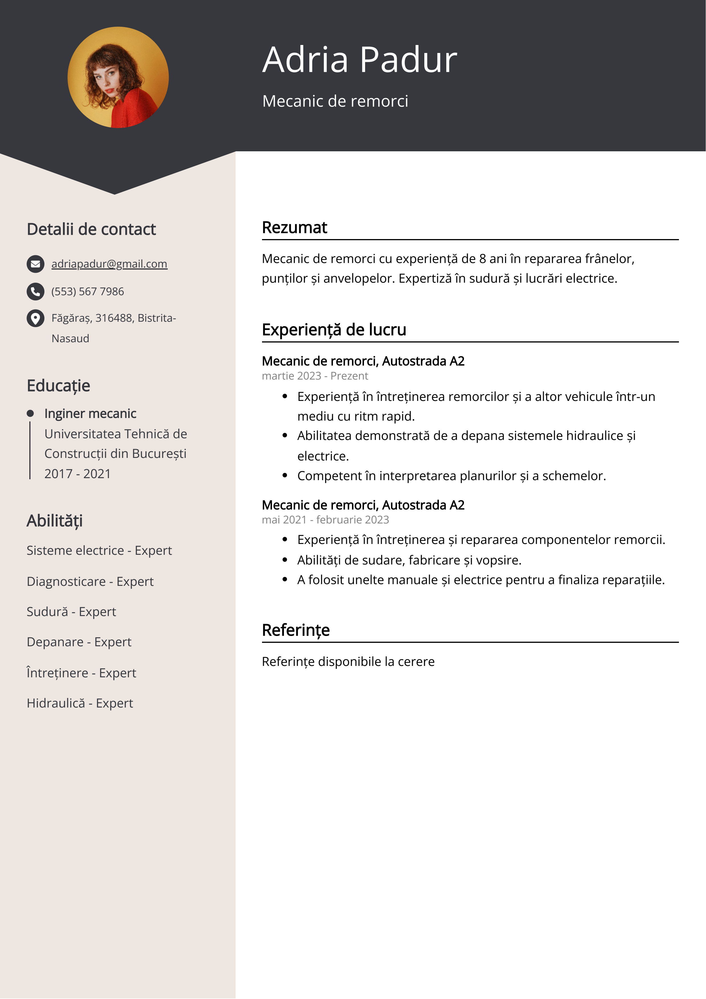 Mecanic de remorci Exemplu de CV