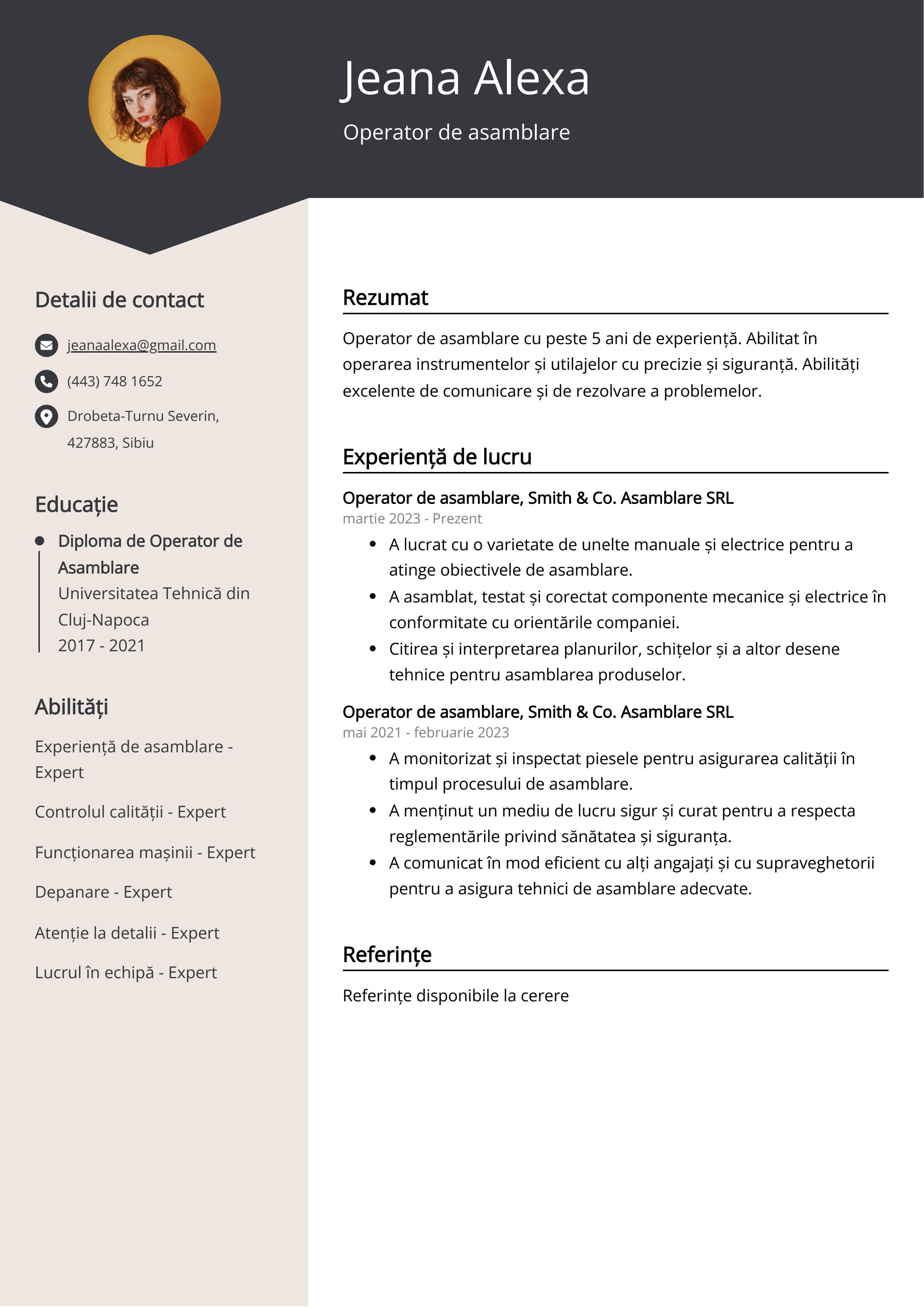 Operator de asamblare Exemplu de CV