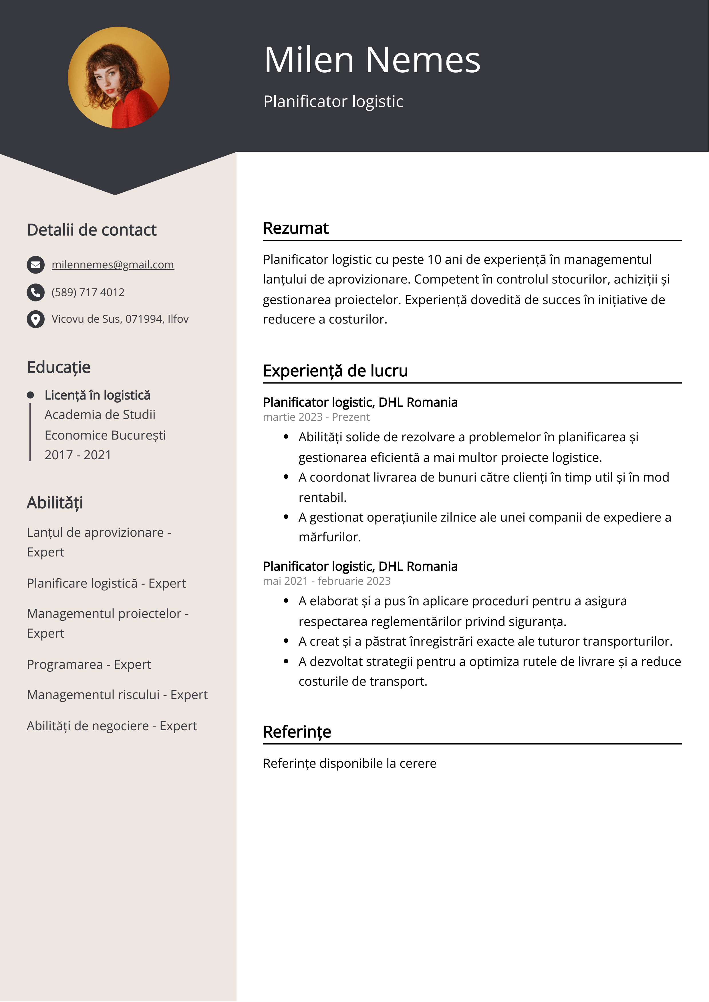 Planificator logistic Exemplu de curriculum vitae