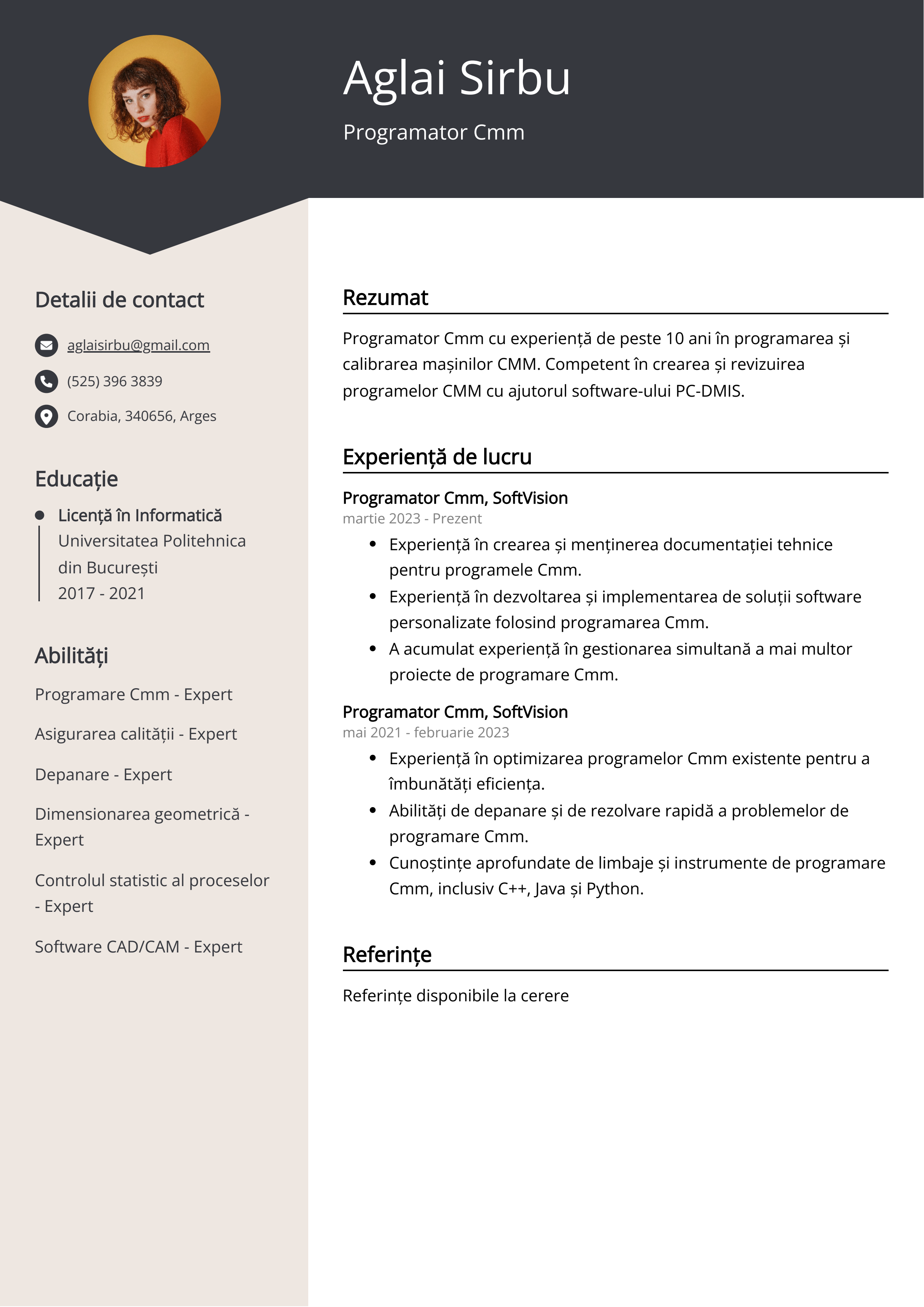 Programator Cmm Exemplu de CV