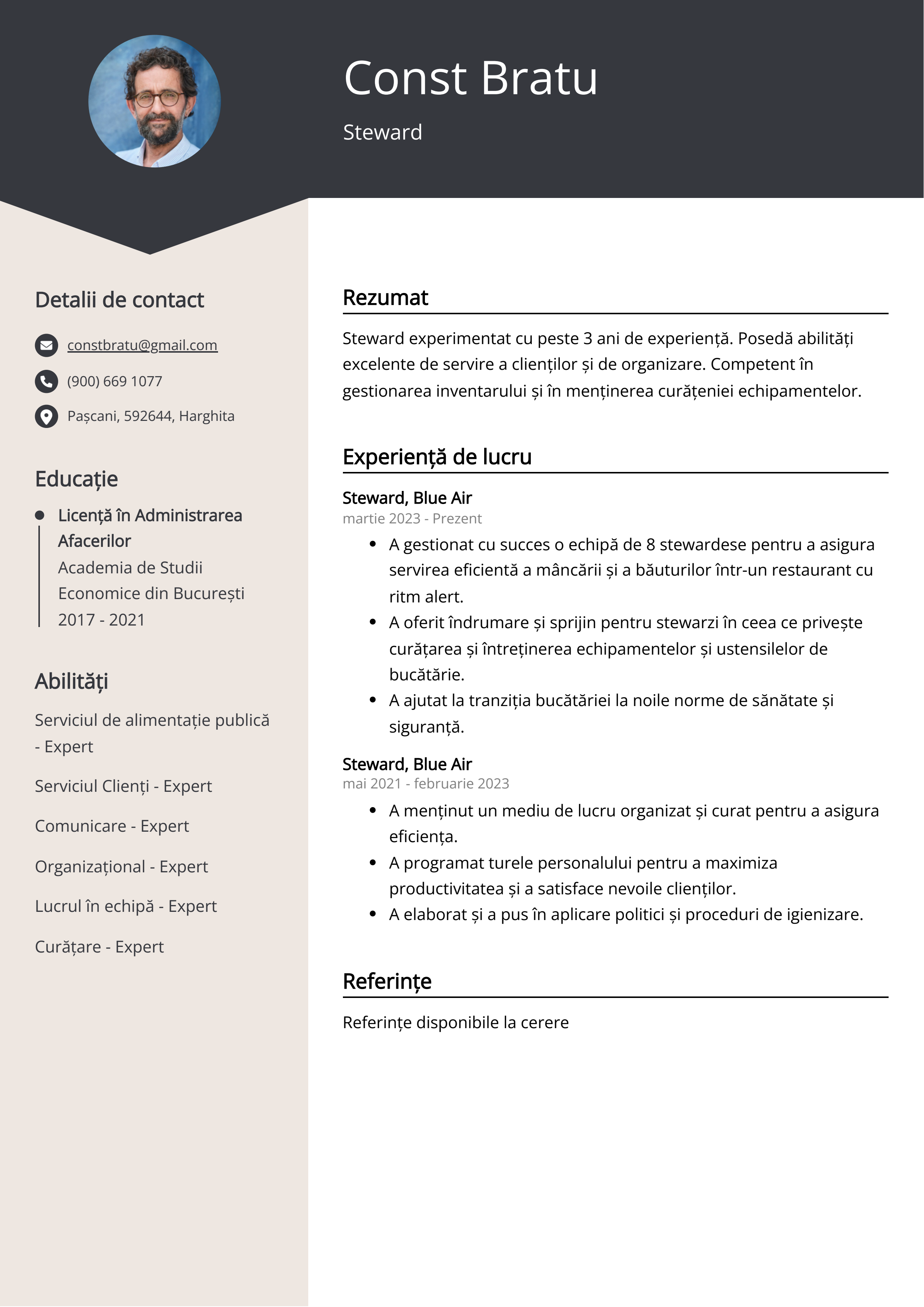 Steward Exemplu de CV