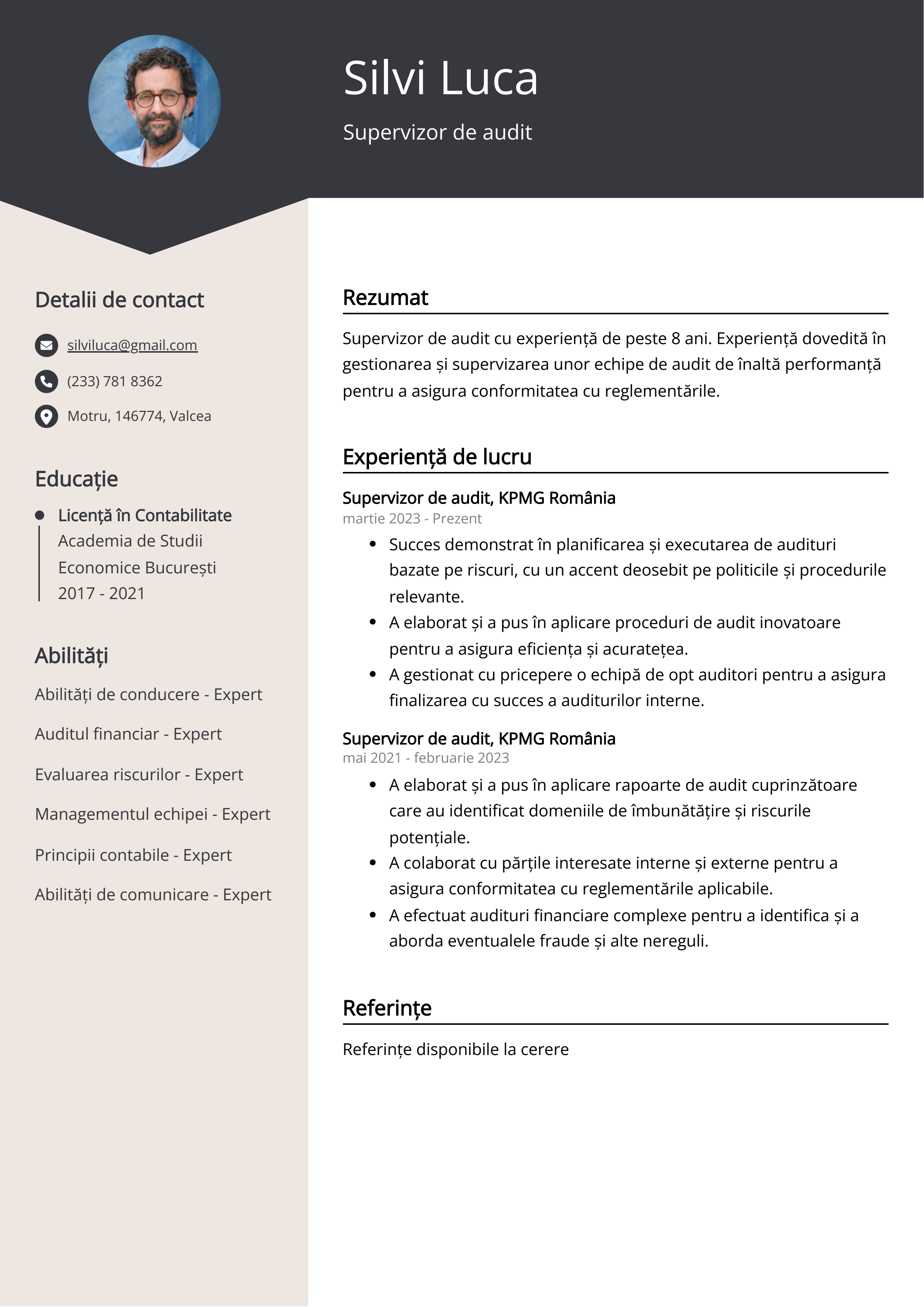 Supervizor de audit Exemplu de CV