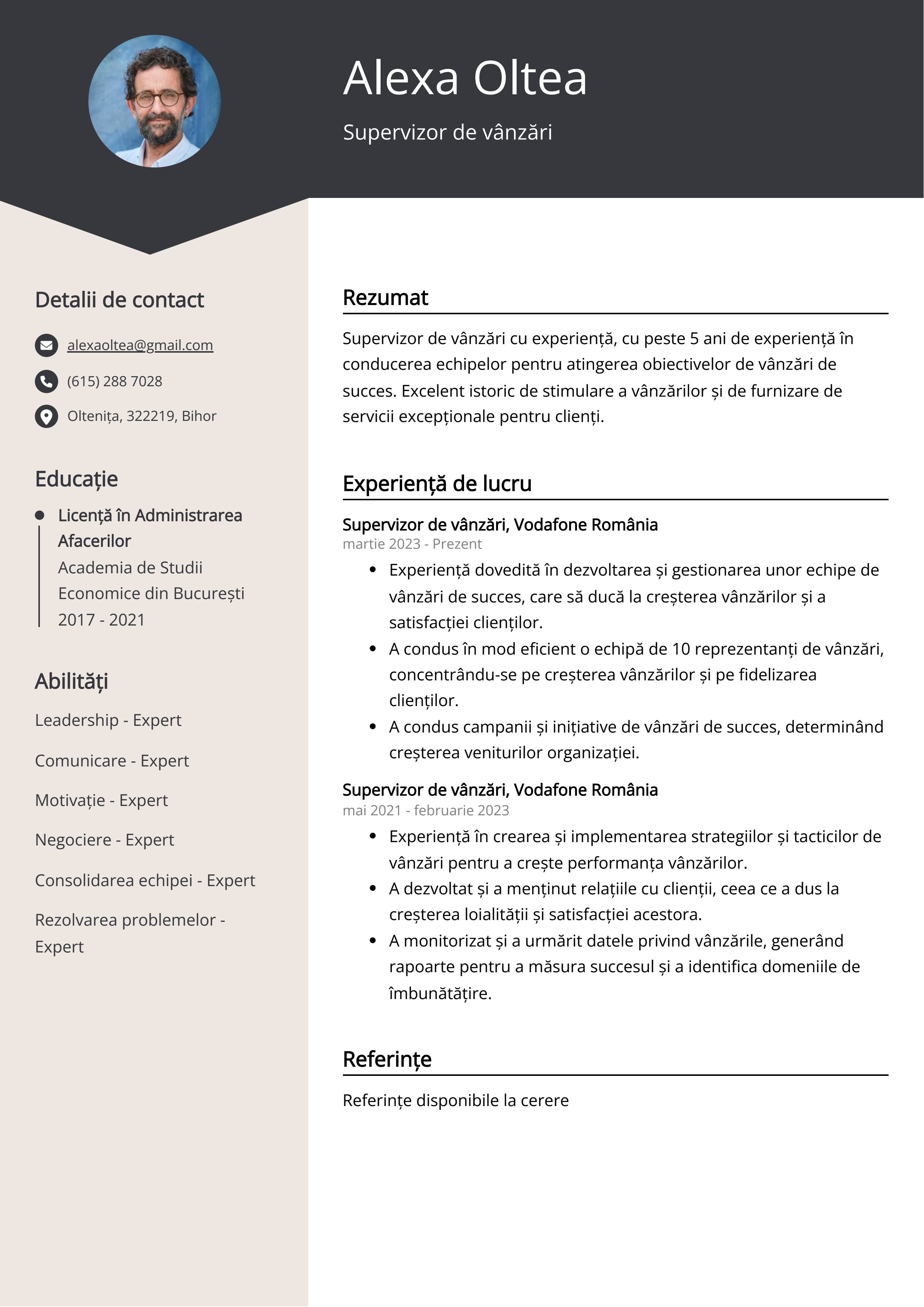 Supervizor de vânzări Exemplu de CV